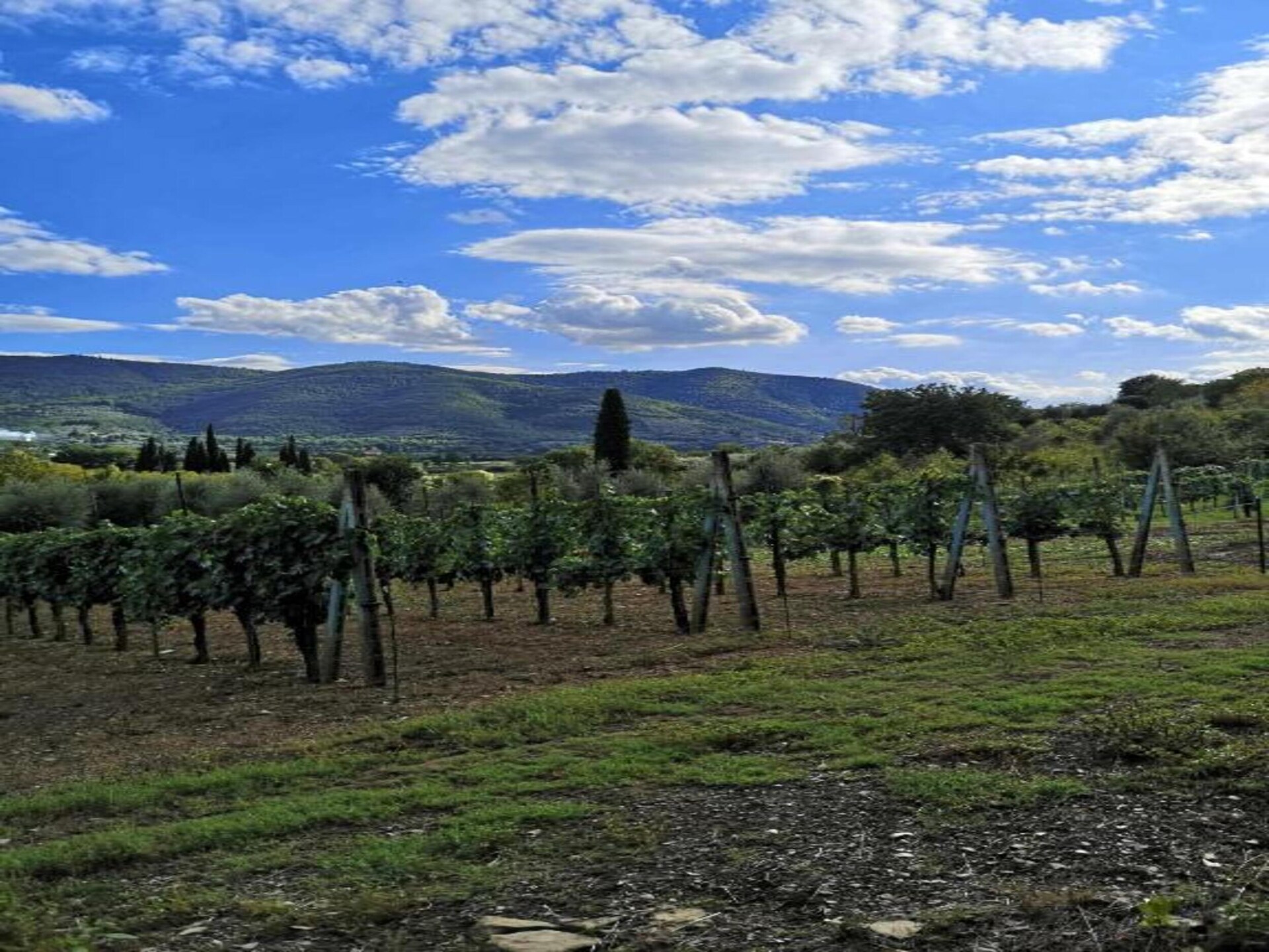 4-persoons vakantiehuis met privézwembad in Castiglion Fiorentino - foto 26
