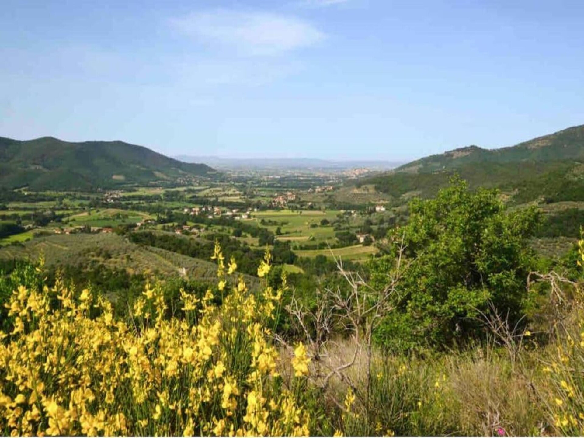 4-persoons vakantiehuis met privézwembad in Castiglion Fiorentino - foto 33