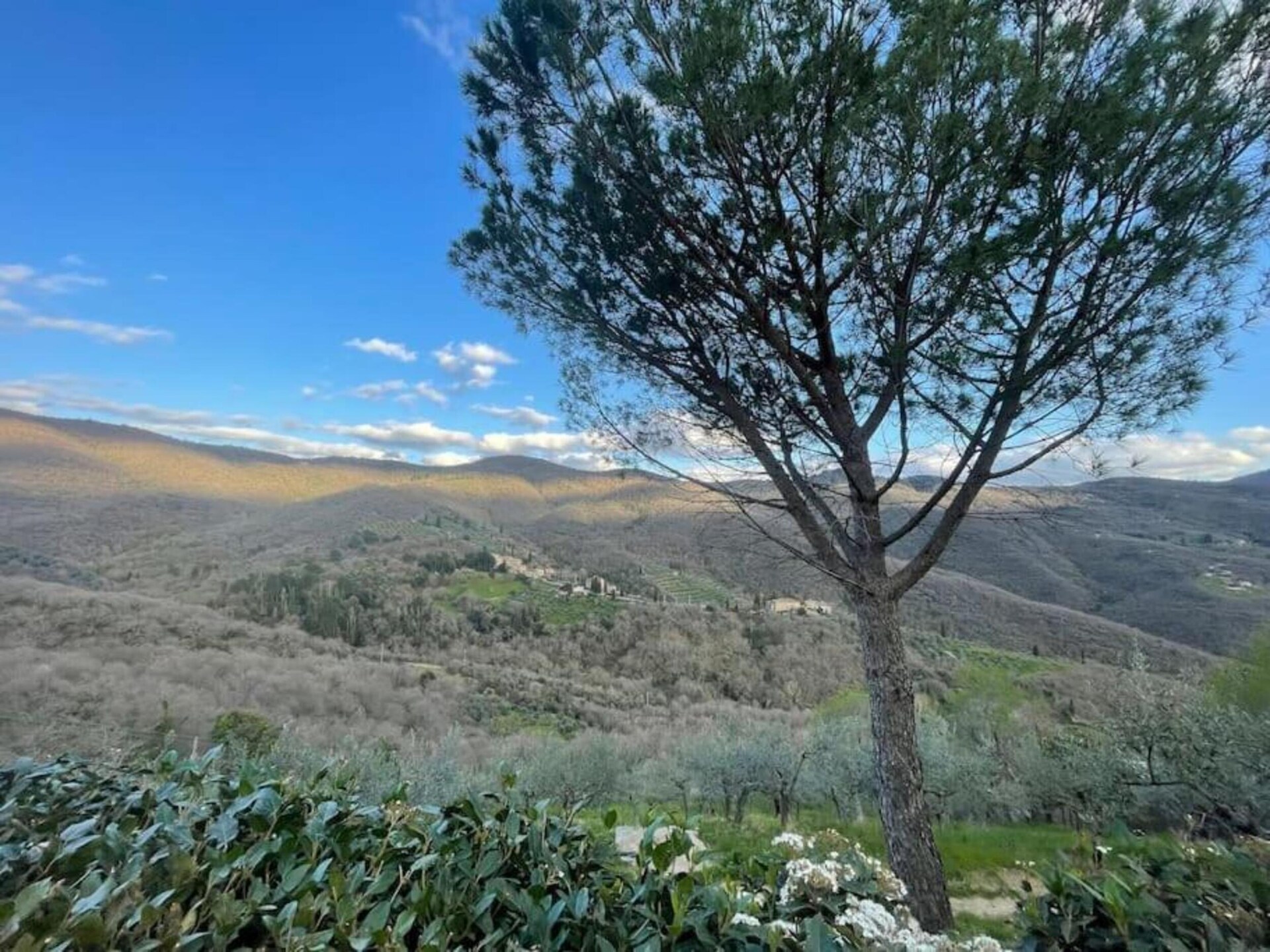 4-persoons vakantiehuis met privézwembad in Castiglion Fiorentino - foto 22