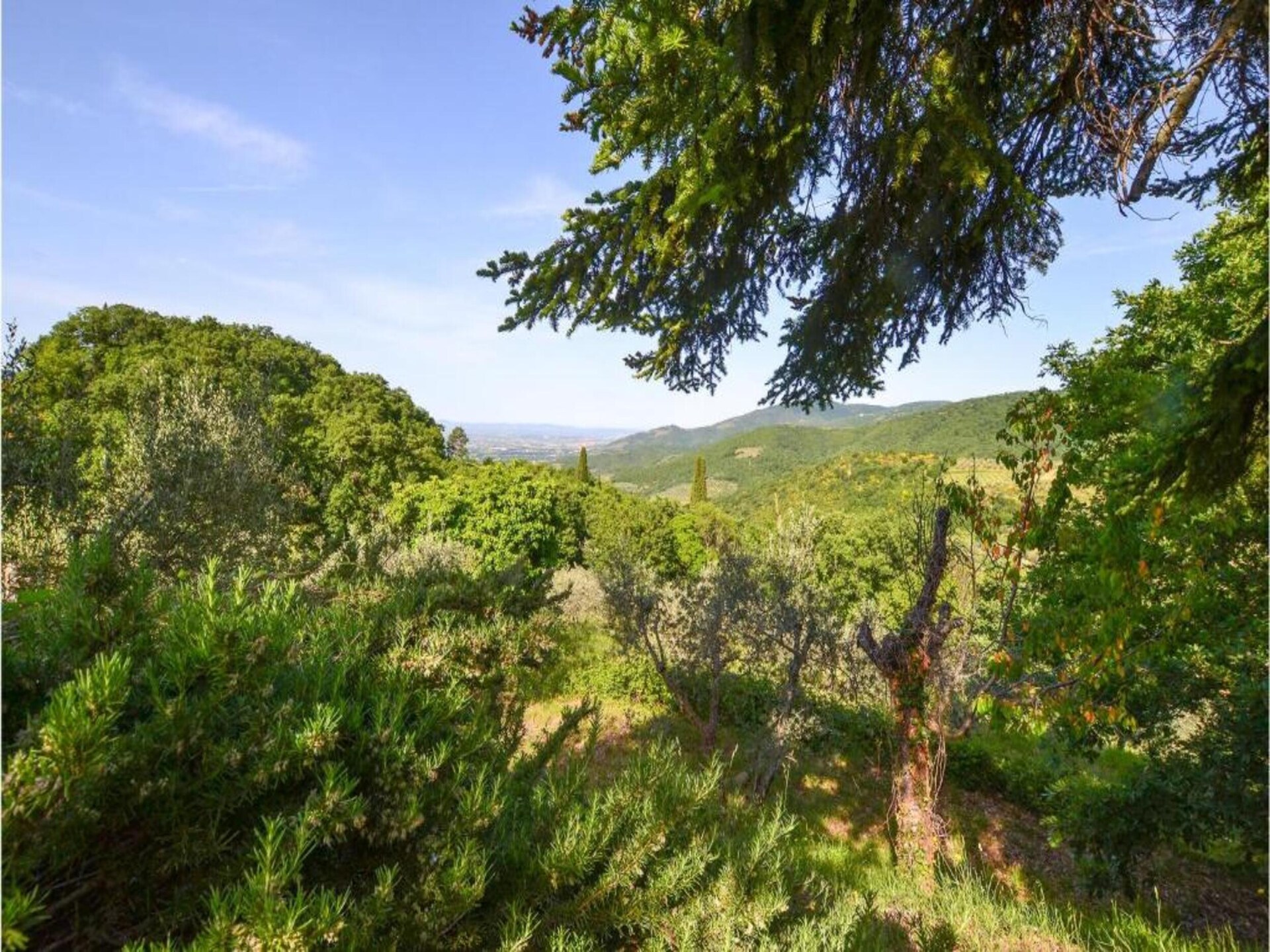 4-persoons vakantiehuis met privézwembad in Castiglion Fiorentino - foto 34