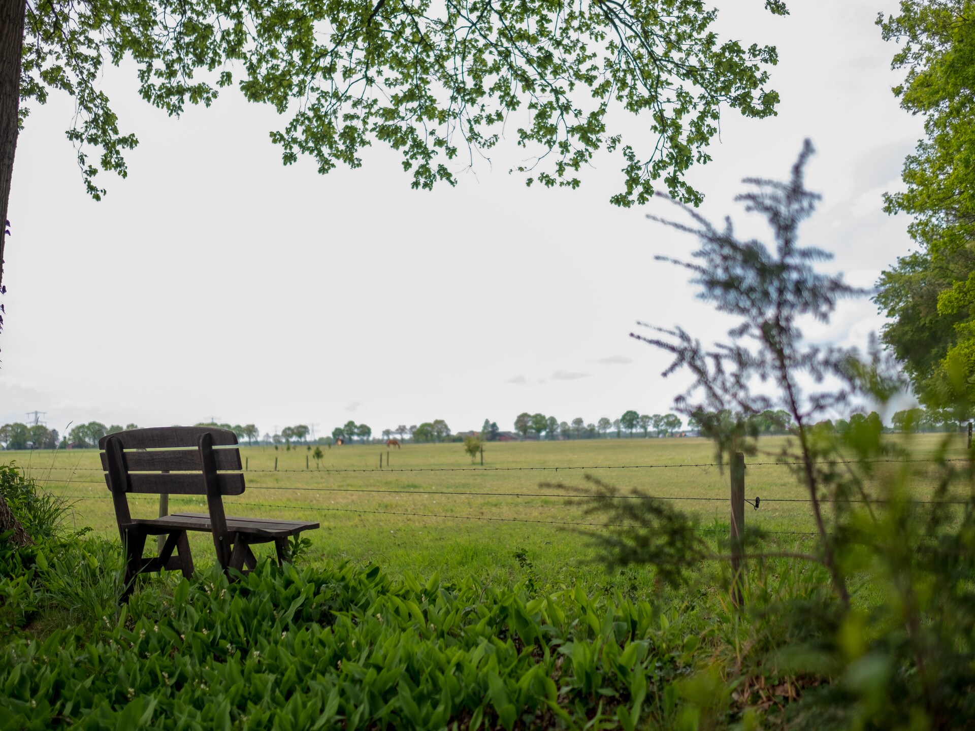 Luxe vakantiehuis in bosrijke omgeving op Buitenplaats Berg en Bos - foto 11