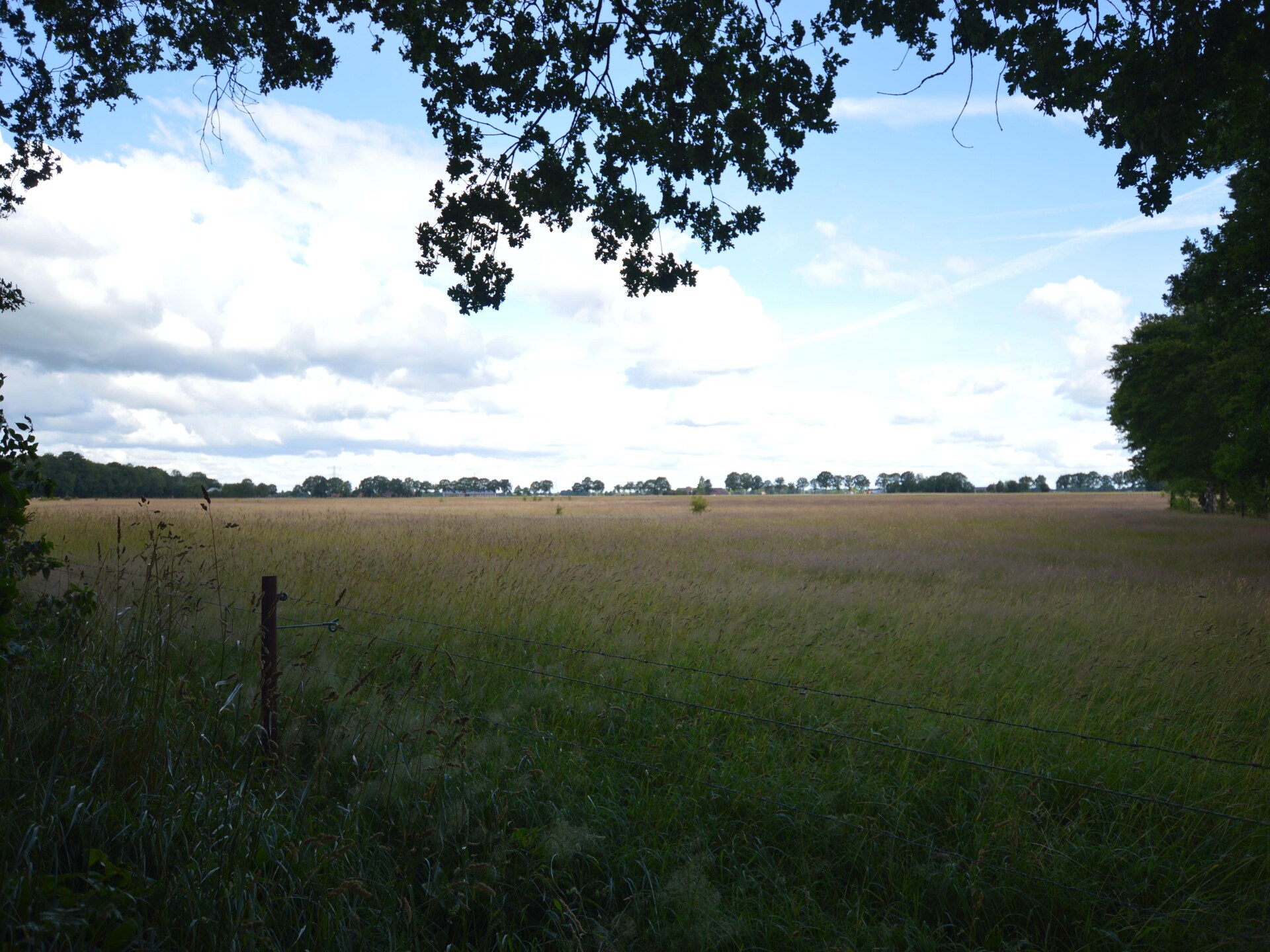 Luxe vakantiehuis in bosrijke omgeving op Buitenplaats Berg en Bos - foto 33