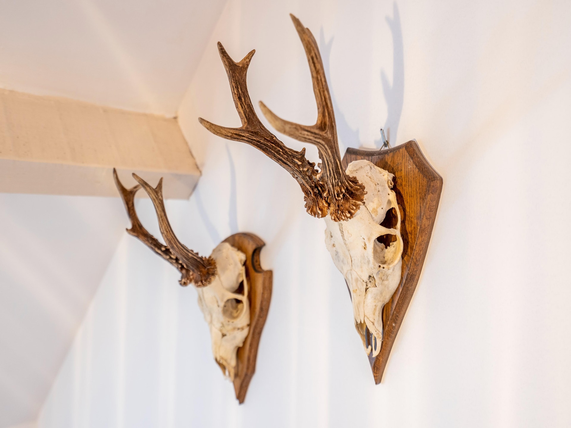 Elegant appartement De Kolonist in historisch Wortel - foto 38