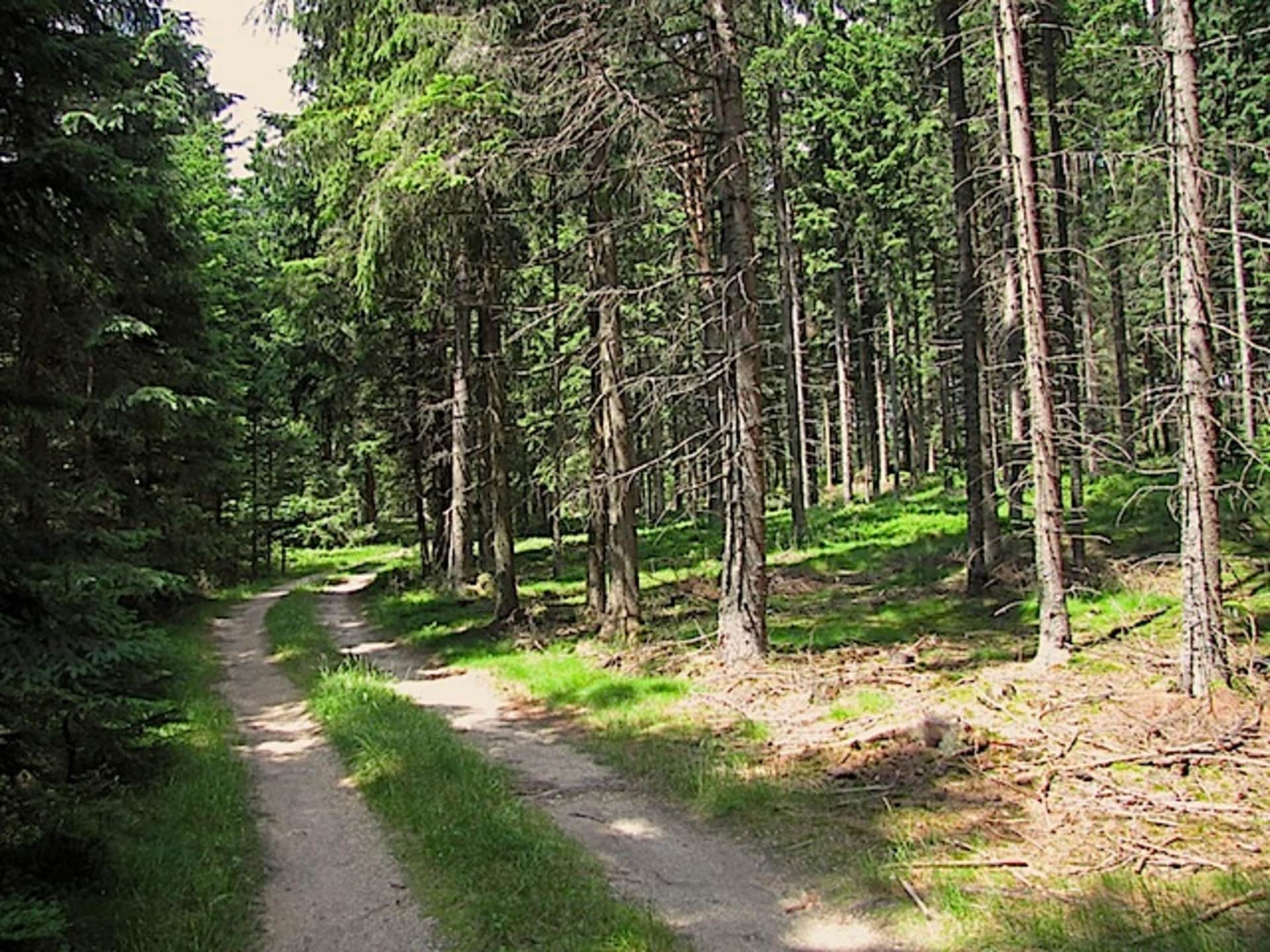 Ruim vakantiehuis in Altmelon voor 6 personen in het Waldviertel - foto 25