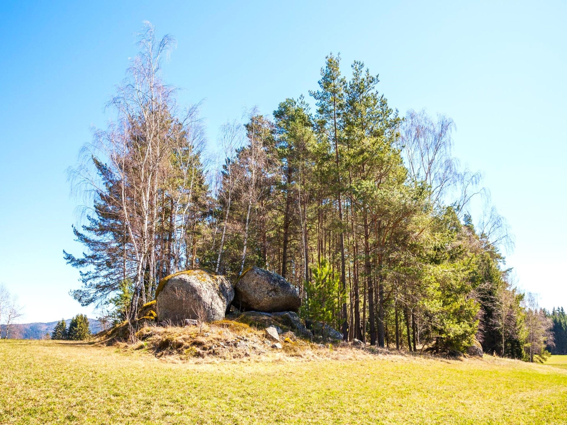 Ruim vakantiehuis in Altmelon voor 6 personen in het Waldviertel - foto 5