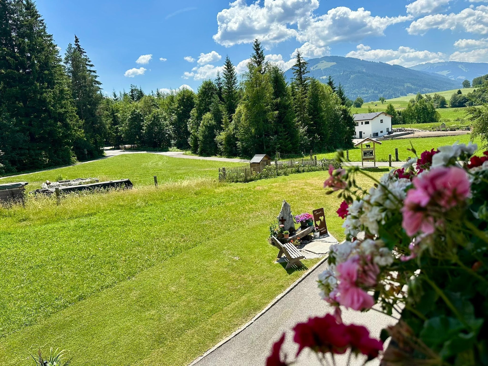Ruim appartement voor 6 personen in Saalfelden am Steinernen Meer - foto 33