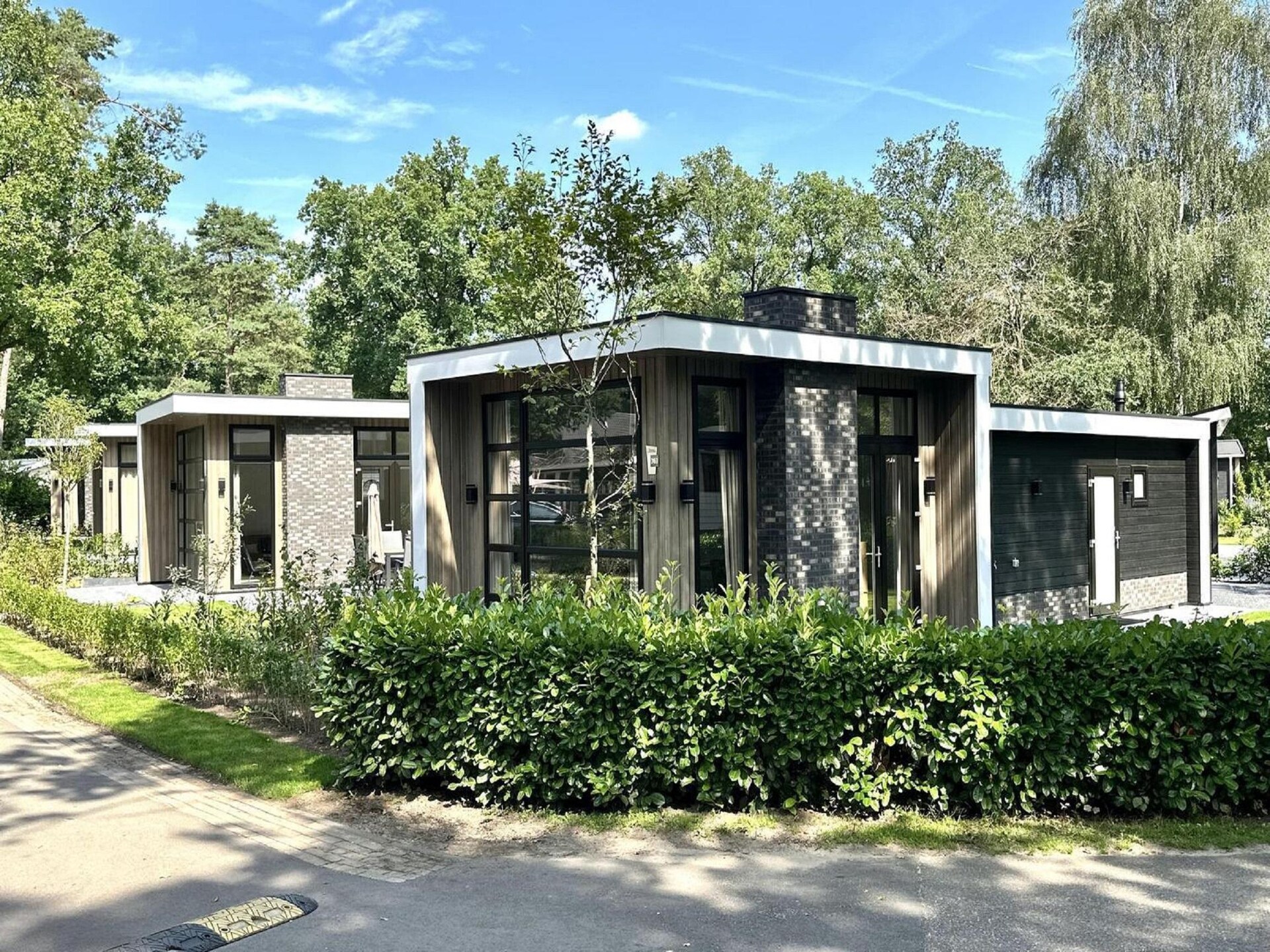 Moderne boshut voor 6 personen op Vakantiepark De Rimboe in Hoenderloo - foto 1