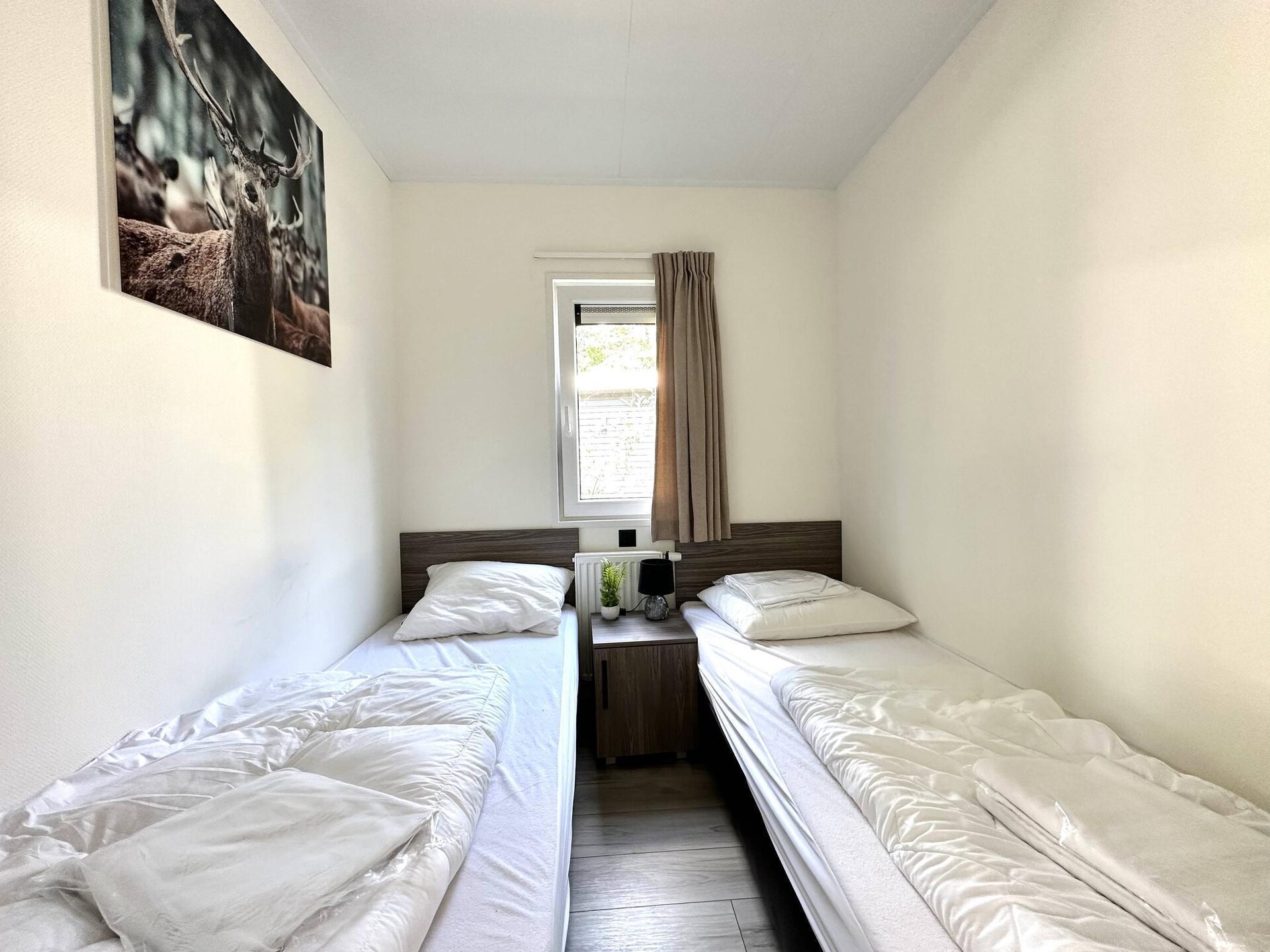 Moderne boshut voor 6 personen op Vakantiepark De Rimboe in Hoenderloo - foto 11