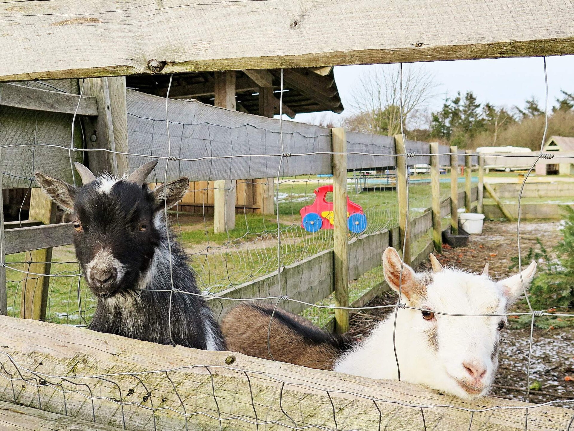 6-persoons vakantiehuis in Struer op 450 m van de zee - foto 32