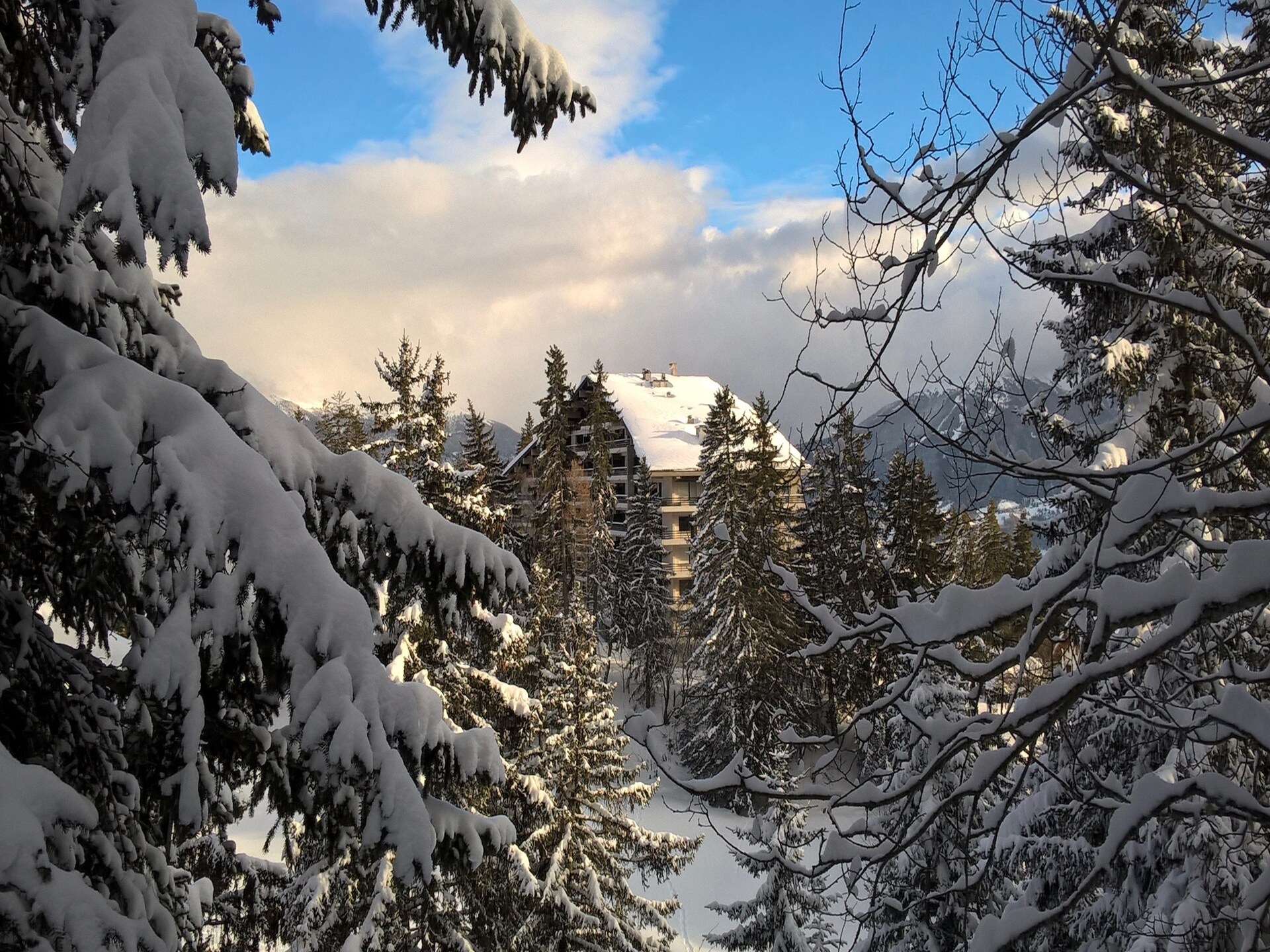 Cransalpin: luxe appartement met zwembad direct aan de piste in Crans-Montana - foto 62