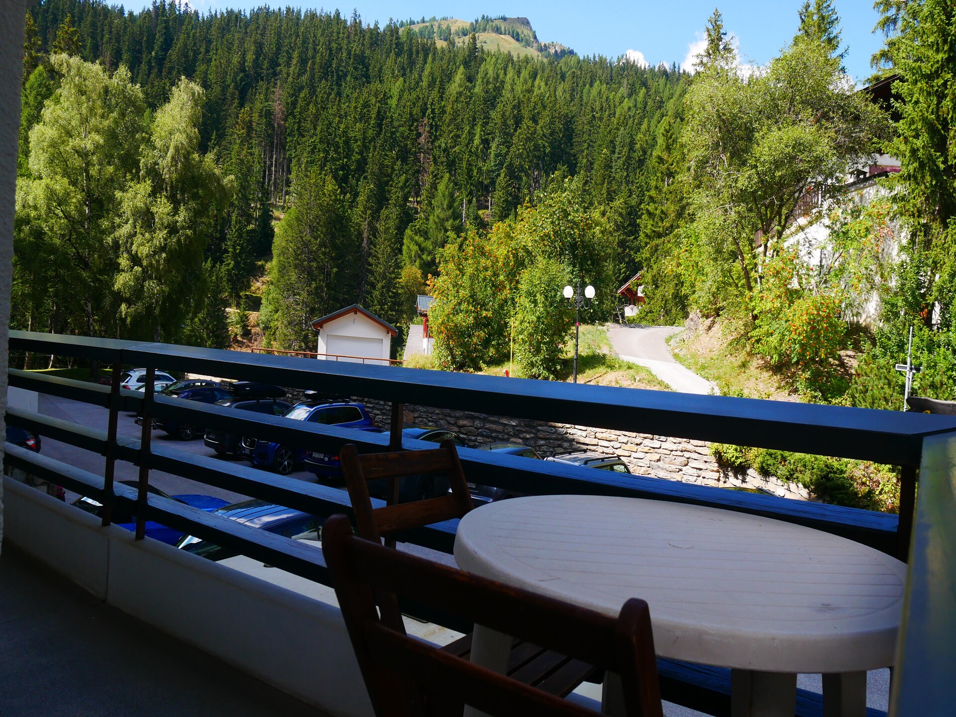 Cransalpin: luxe appartement met zwembad direct aan de piste in Crans-Montana - foto 53