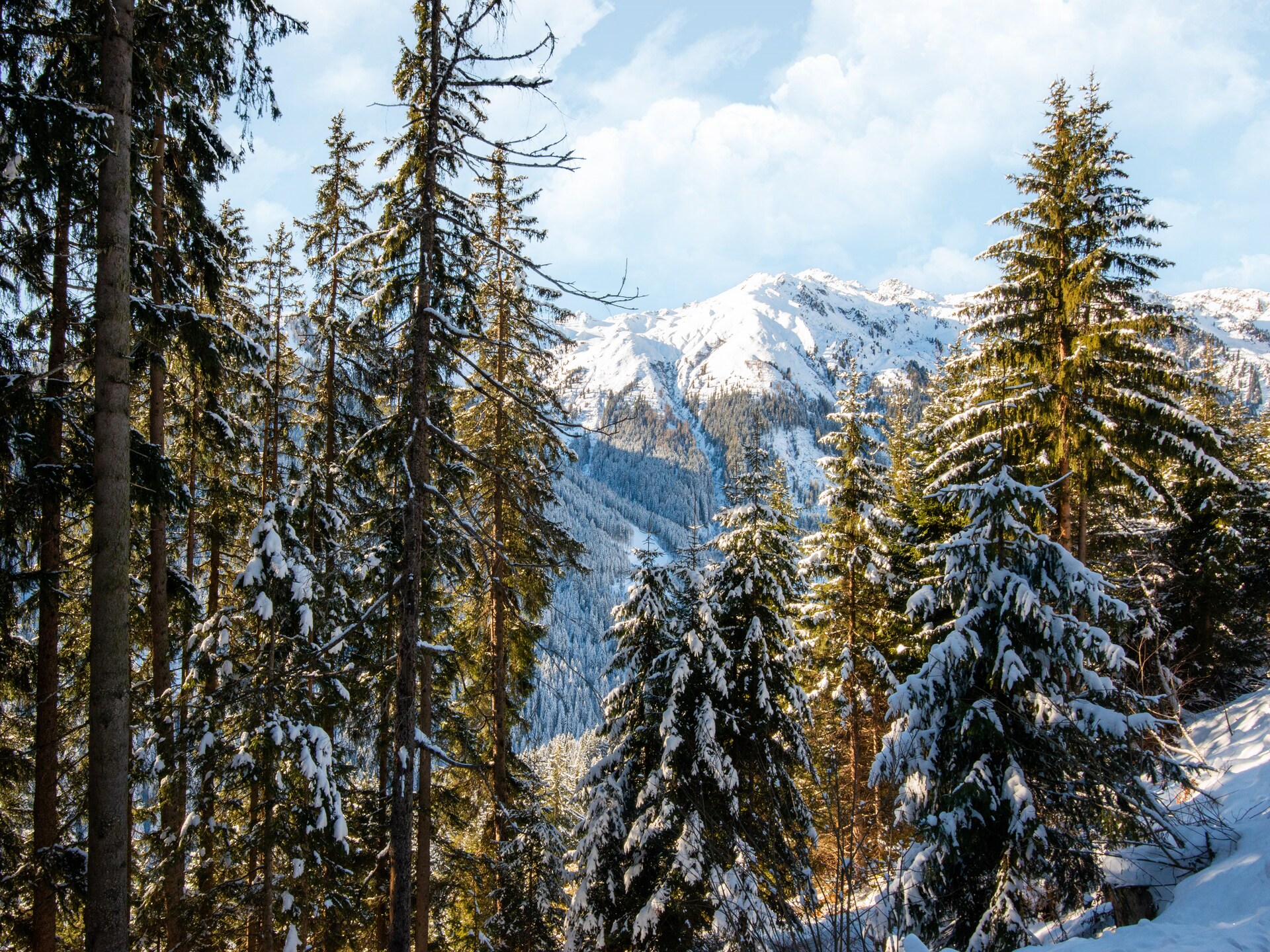 Rustieke berghut op 1700m met panoramisch uitzicht over het Zillertal - foto 32