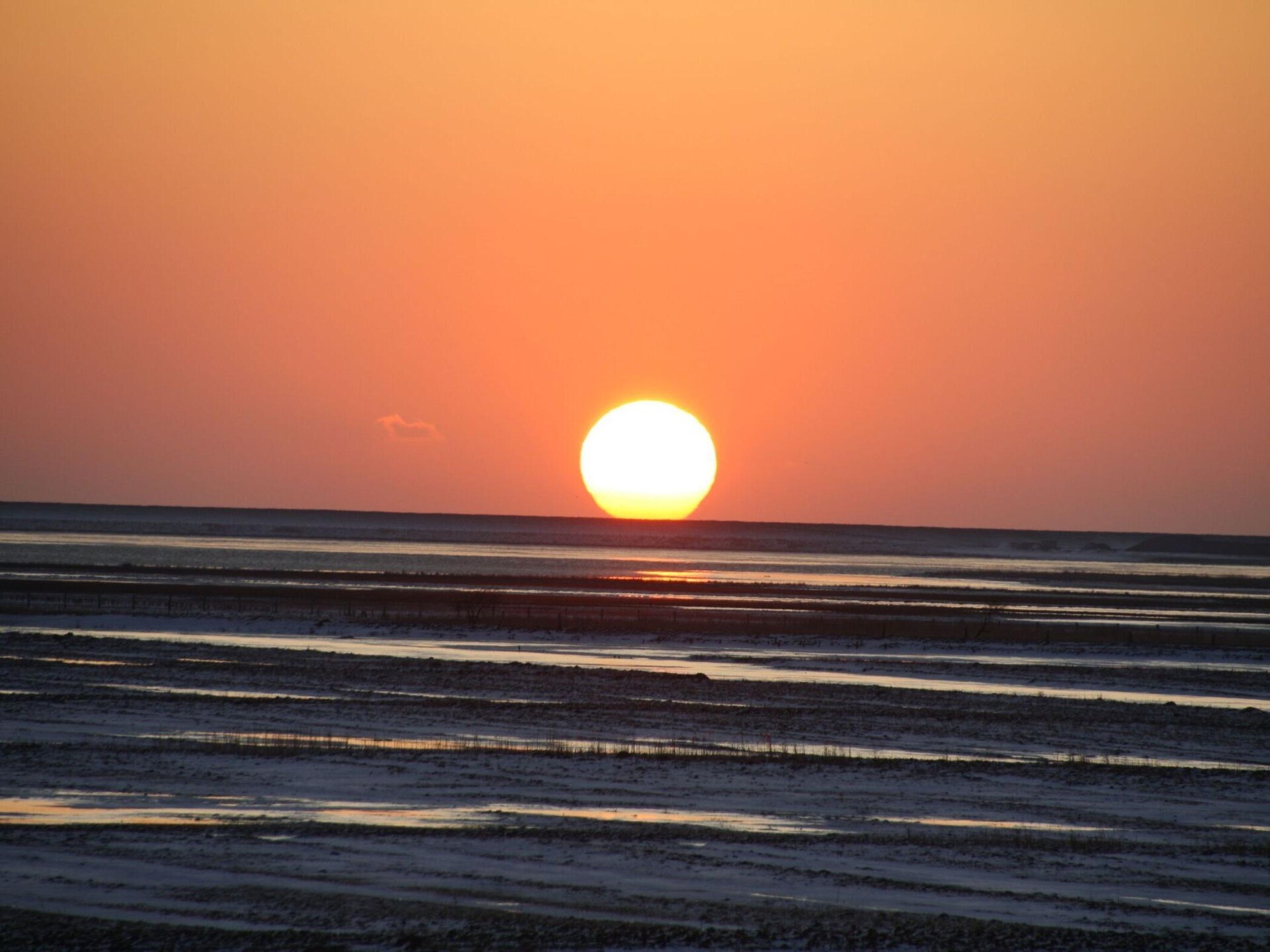 4-persoons appartement in St. Peter-Ording: rust en comfort - foto 15