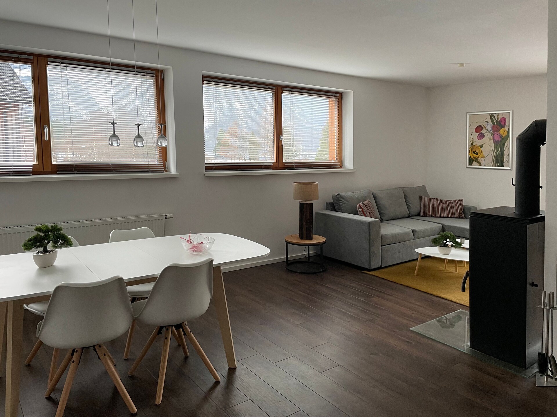 Comfortabel appartement aan de Hallstättersee met uitzicht op de Dachstein - foto 9