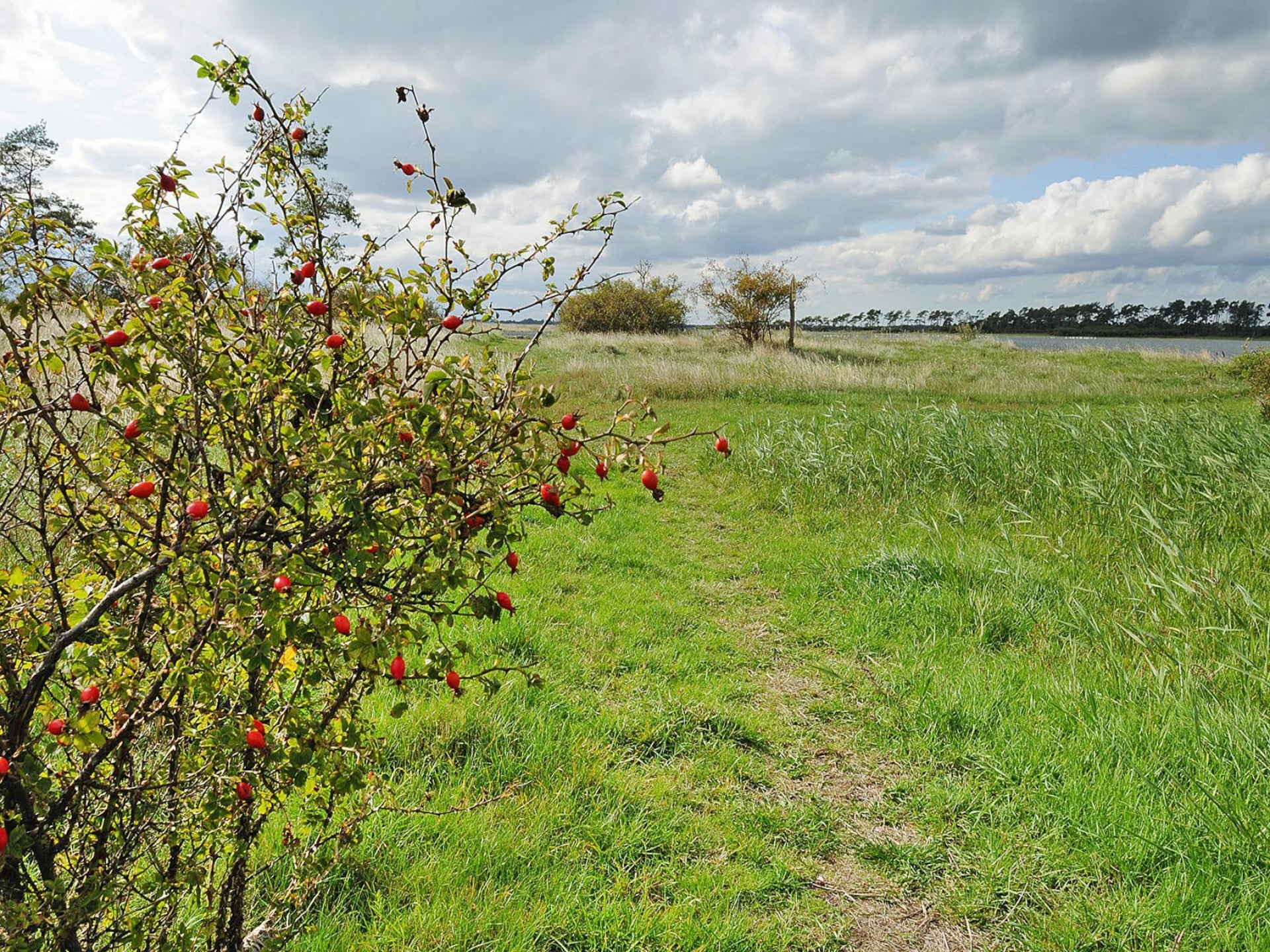 4-persoons landhuis in Garz nabij het meer - foto 14