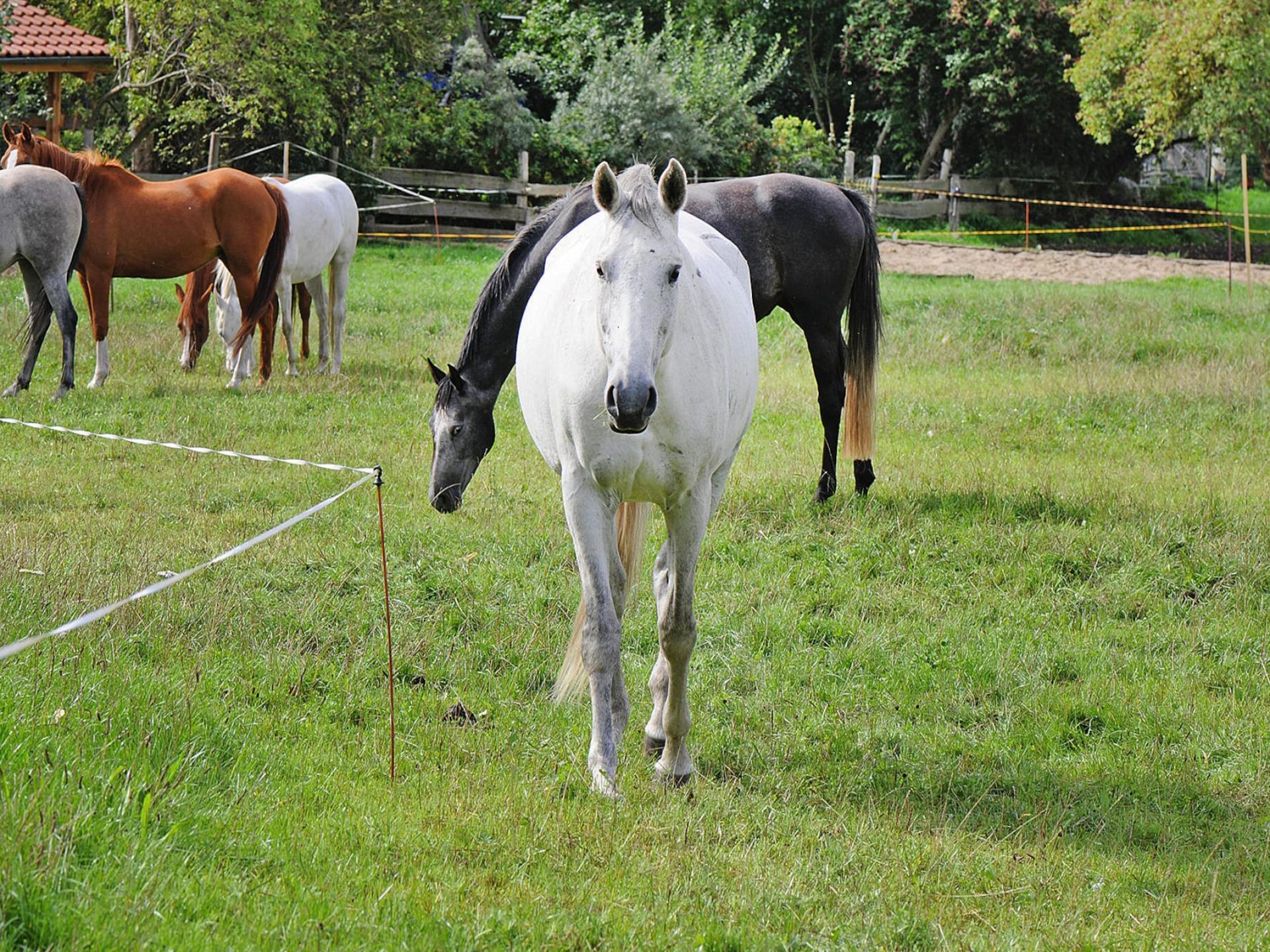 4-persoons landhuis in Garz nabij het meer - foto 15