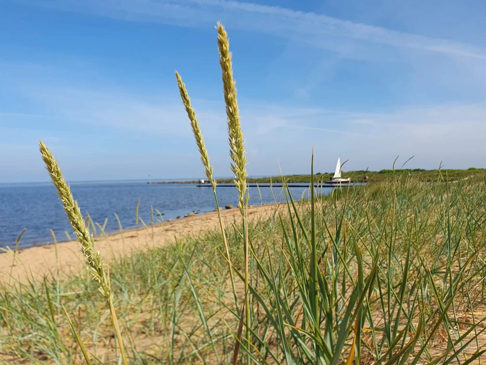 6-persoons modern vakantiehuis in Tarm op 1,2 km van zee - foto 13