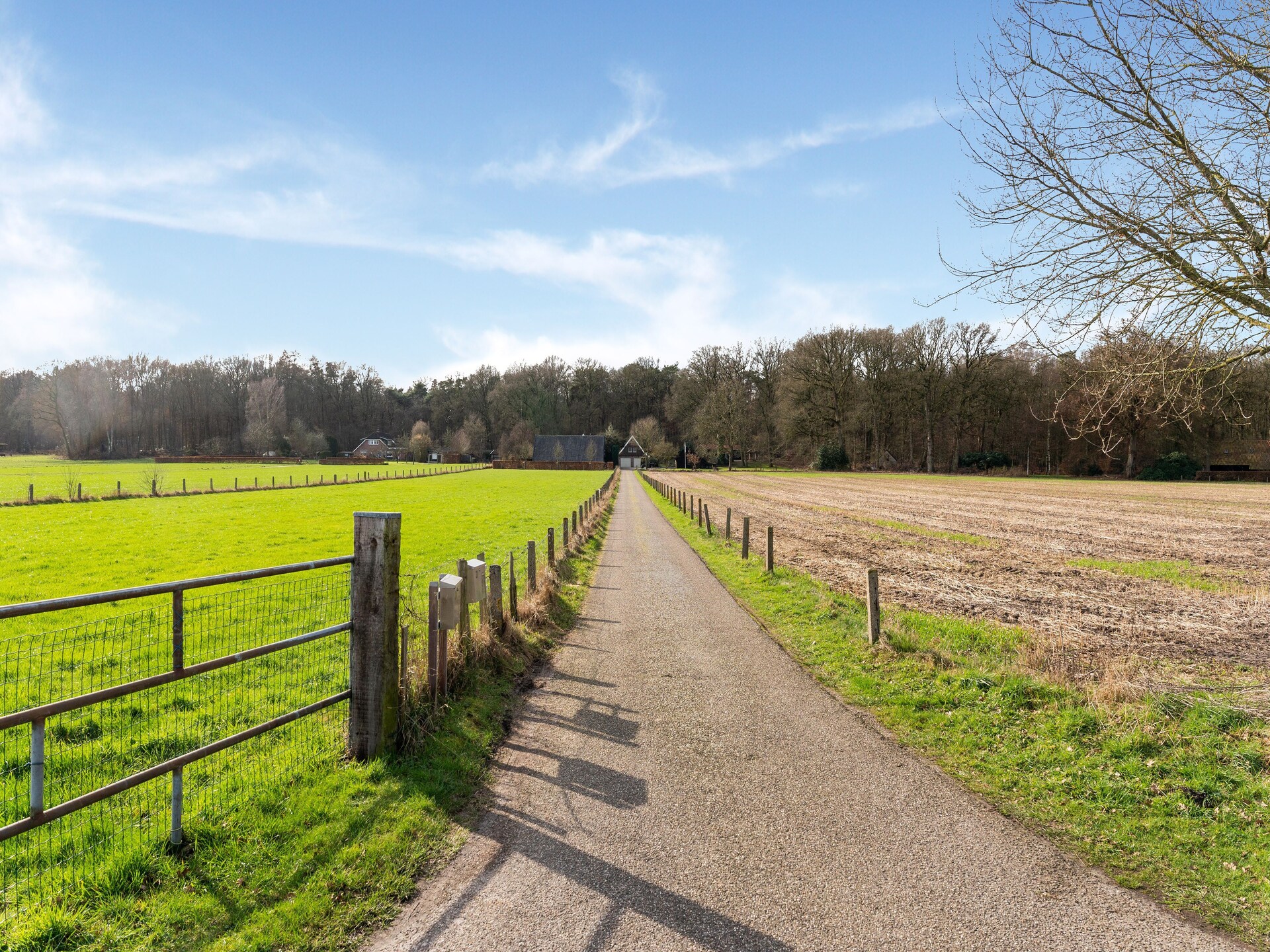 De Hooischuur: luxe vakantiehuis in bosrijke omgeving Hellendoorn - foto 22