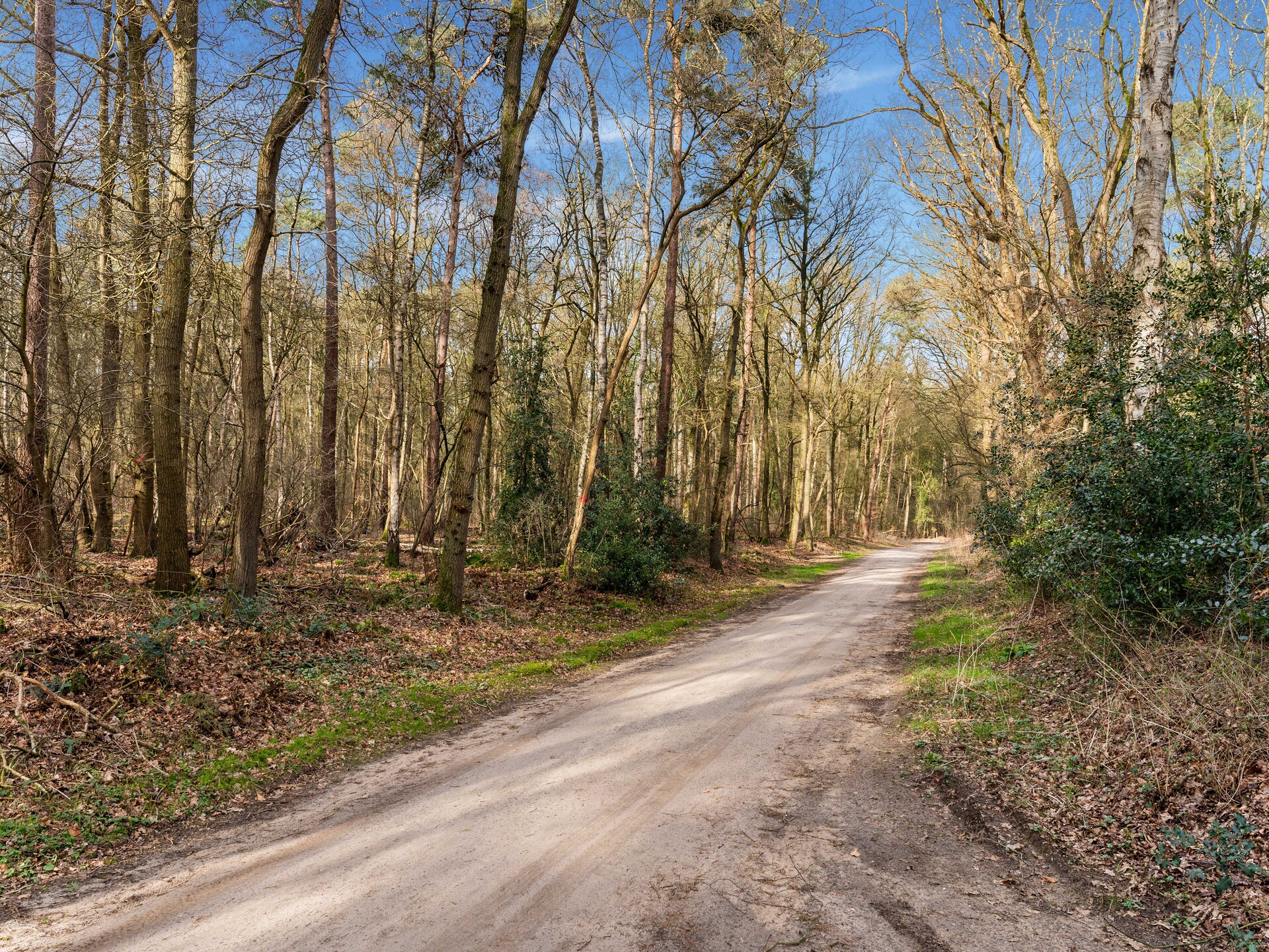 De Hooischuur: luxe vakantiehuis in bosrijke omgeving Hellendoorn - foto 23