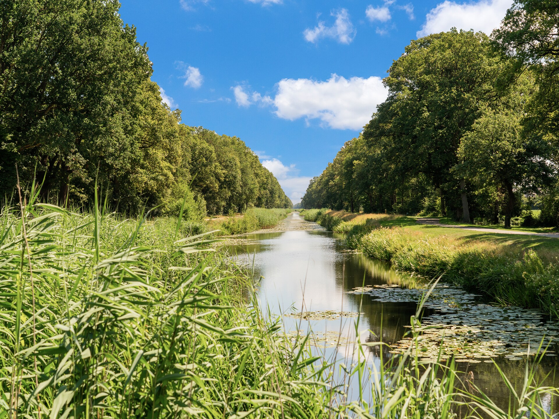 Steenmarter: Vrijstaand houten chalet aan bos en water in Twente - foto 39