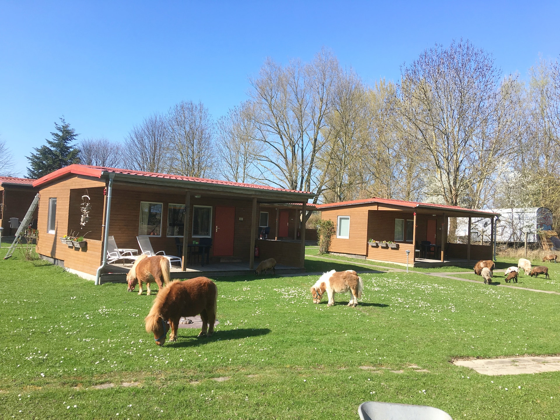 Aan het meer: Sfeervol vakantiehuis voor 2 personen in Lütow - foto 14