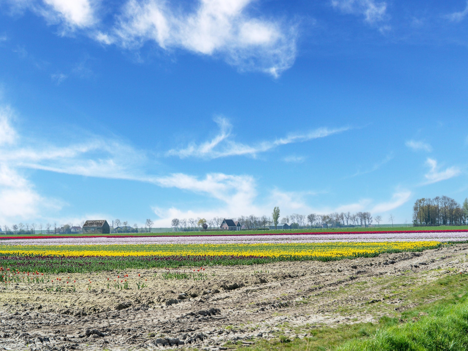 Tjiftjaf 21: Modern vakantiehuis op 300m van strand in Zeeland - foto 25