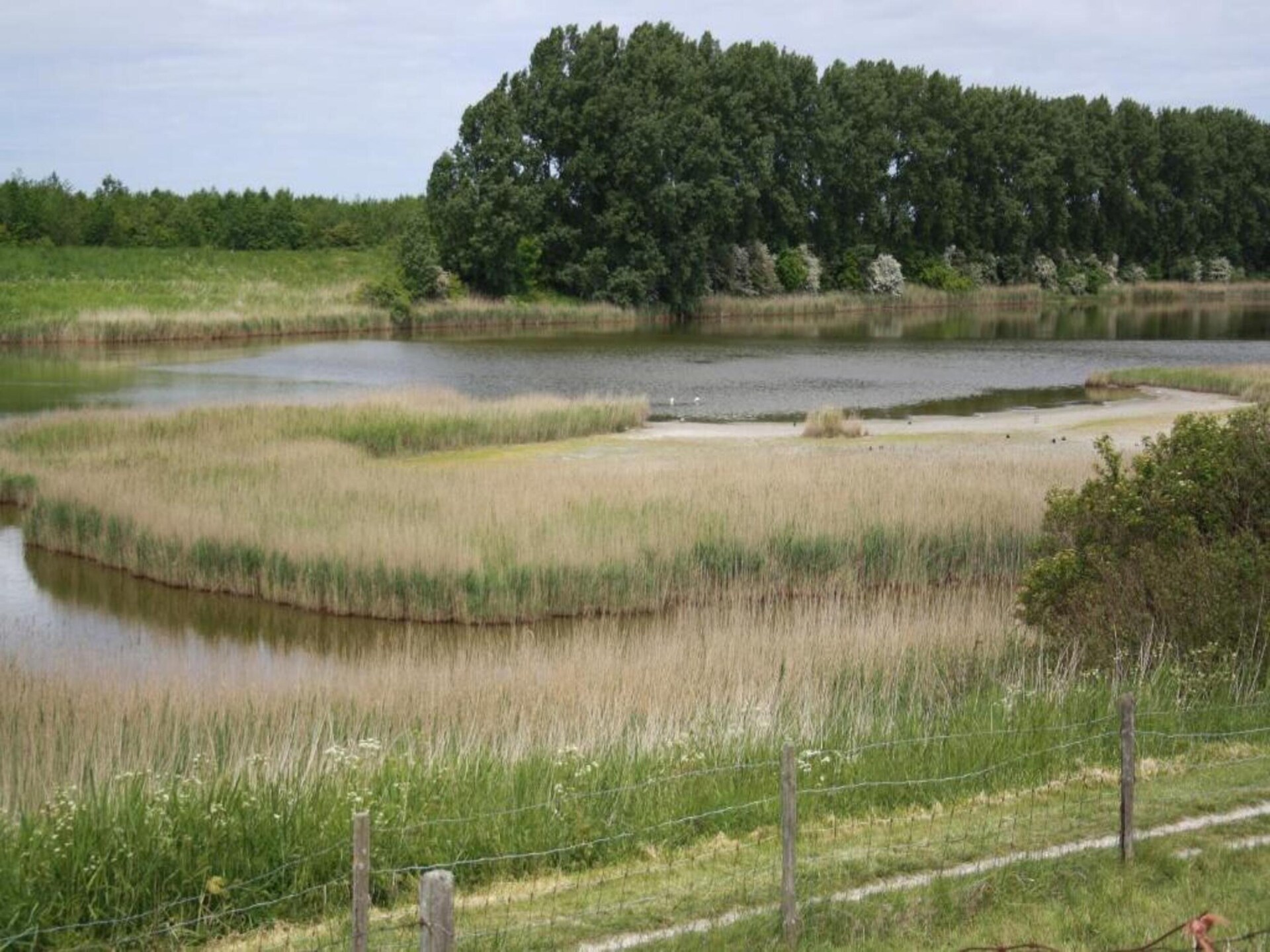 Tjiftjaf 21: Modern vakantiehuis op 300m van strand in Zeeland - foto 30