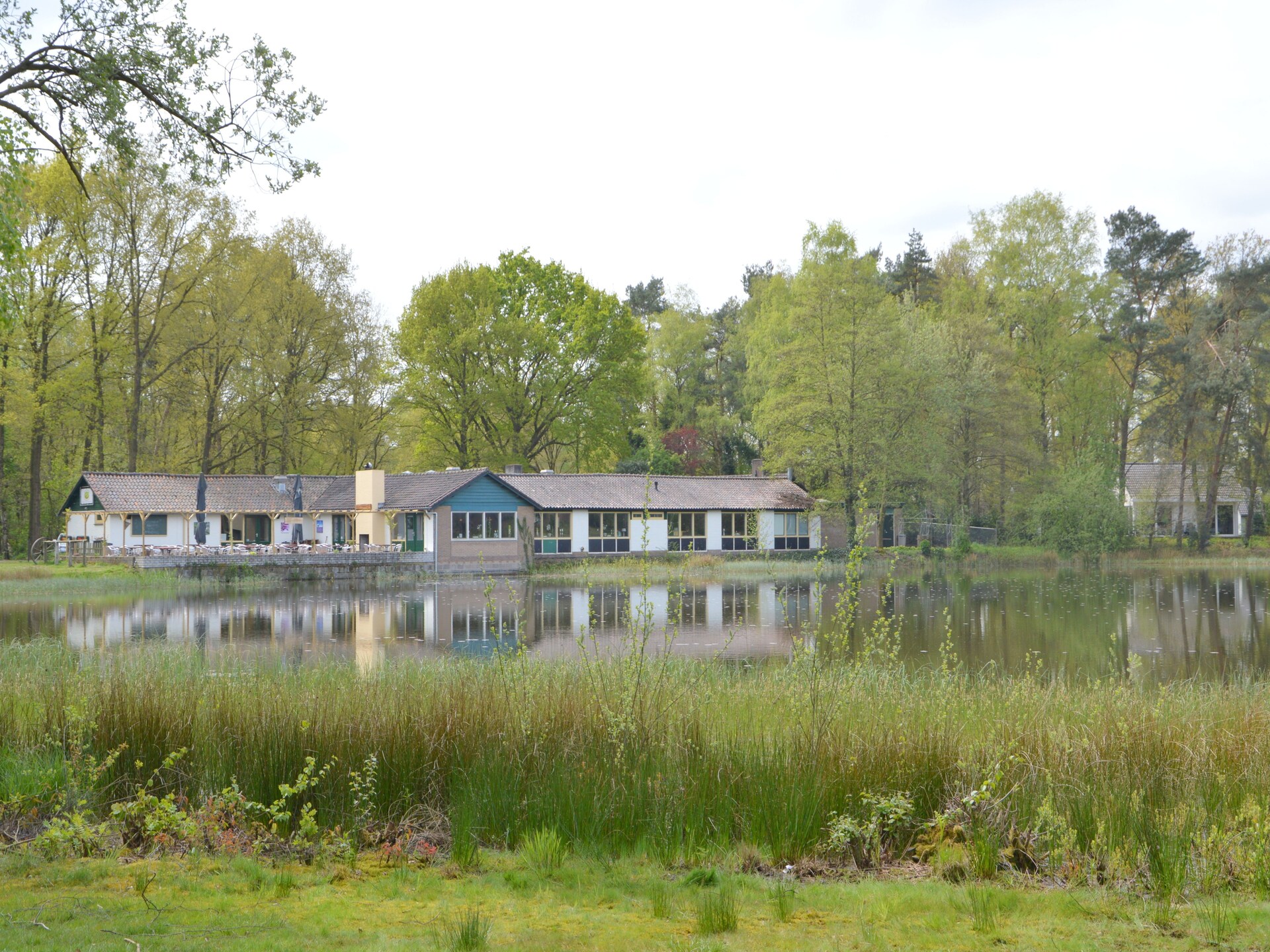 Vosseven 54 Albatros: Modern vakantiehuis in bosrijk Limburg - foto 31