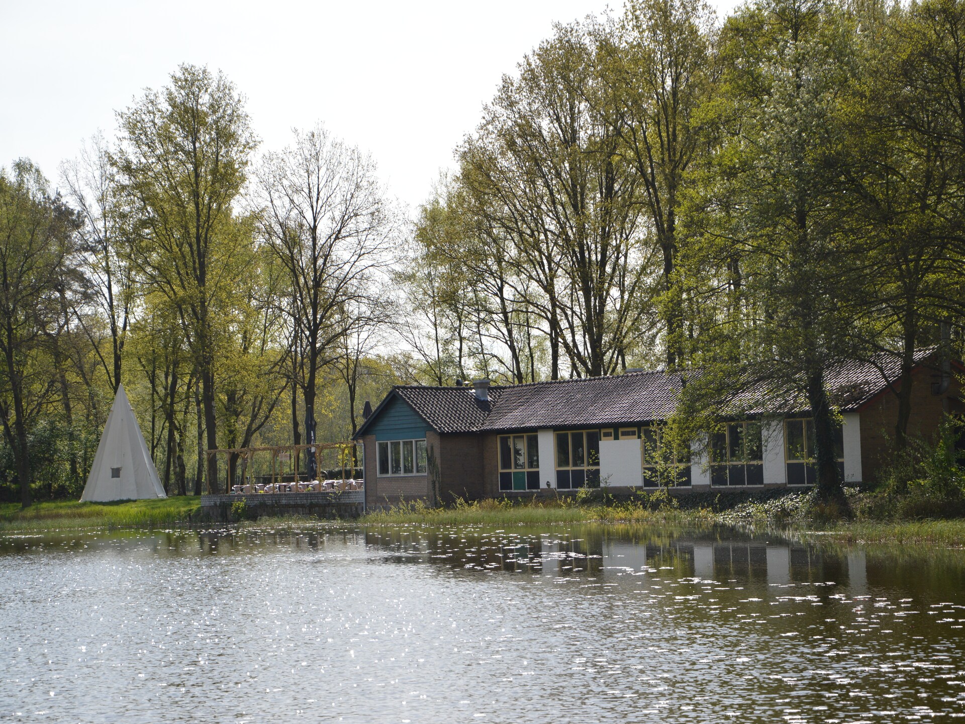 Vosseven 54 Albatros: Modern vakantiehuis in bosrijk Limburg - foto 32
