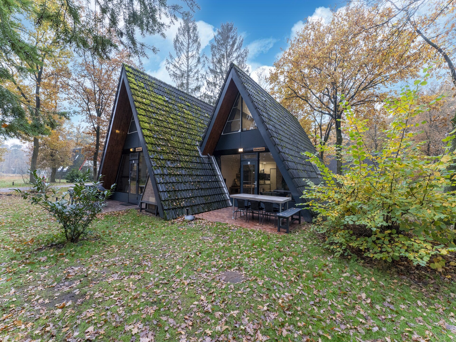 Vosseven 55 Annemoon: Modern vakantiehuis in bosrijk Limburg - foto 27