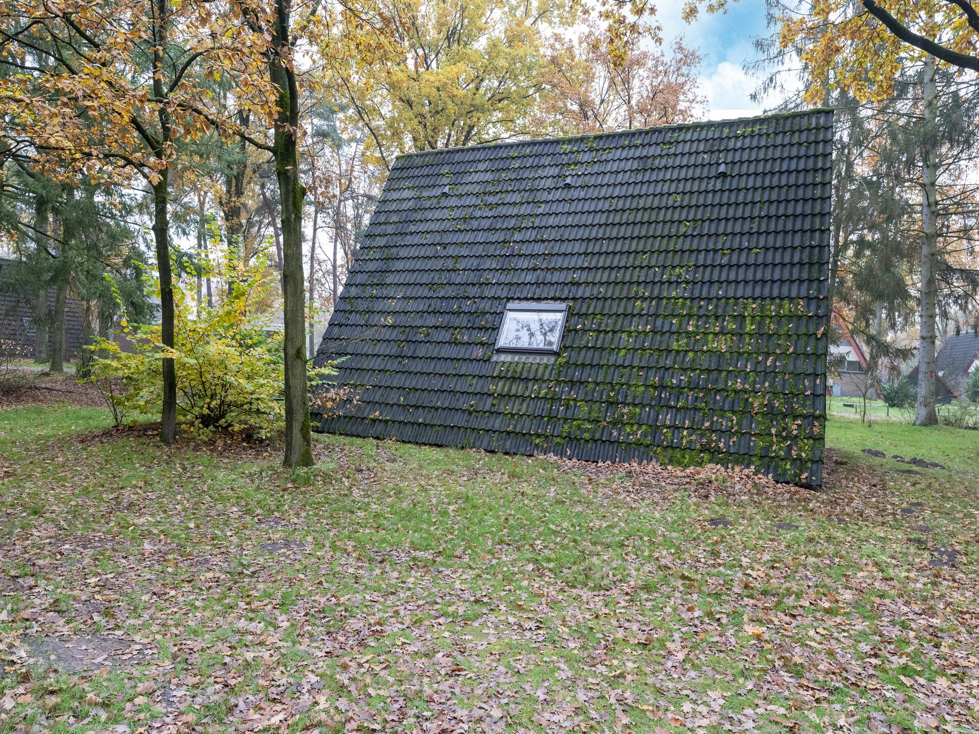 Vosseven 55 Annemoon: Modern vakantiehuis in bosrijk Limburg - foto 29