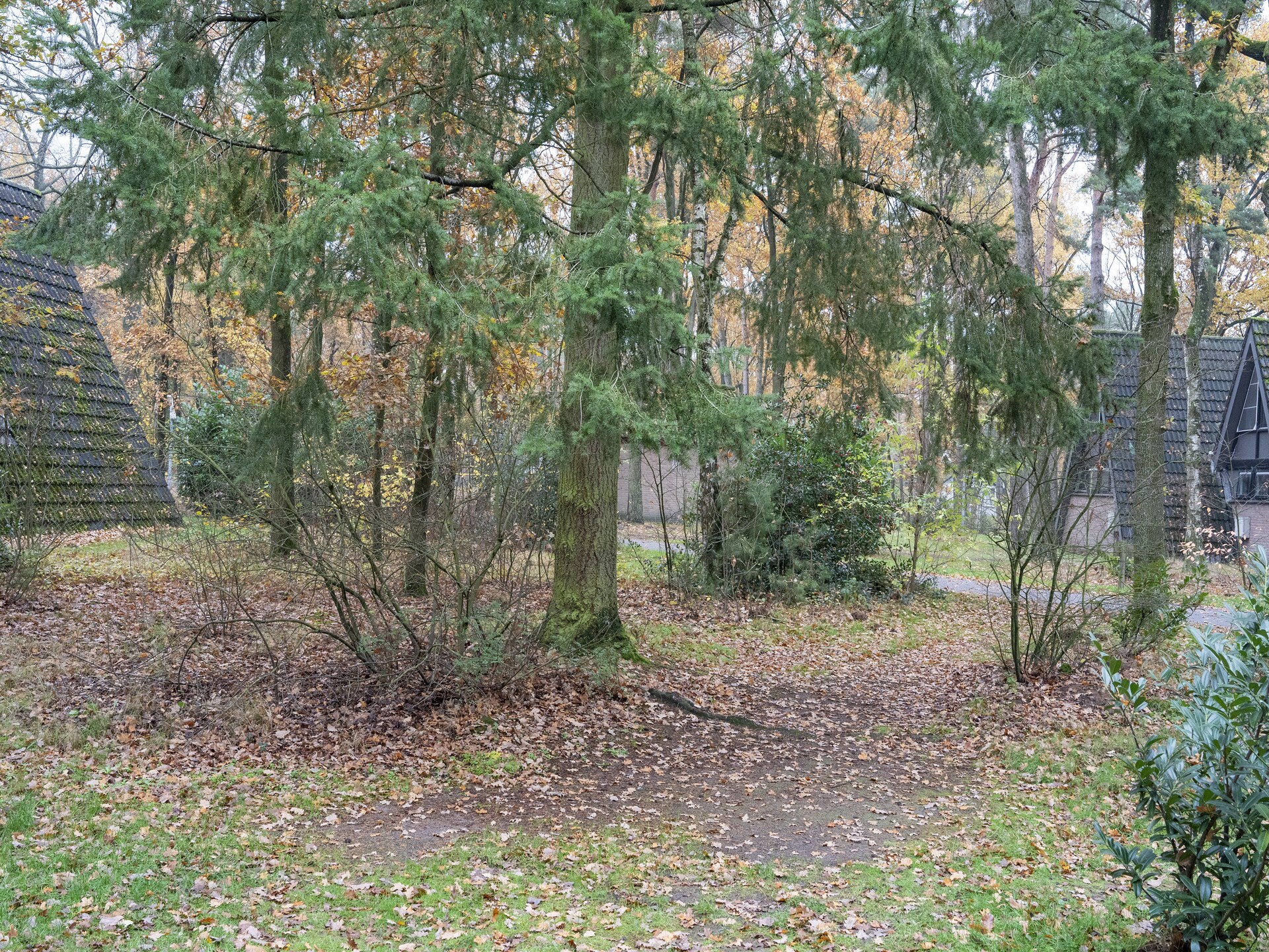 Vosseven 55 Annemoon: Modern vakantiehuis in bosrijk Limburg - foto 32