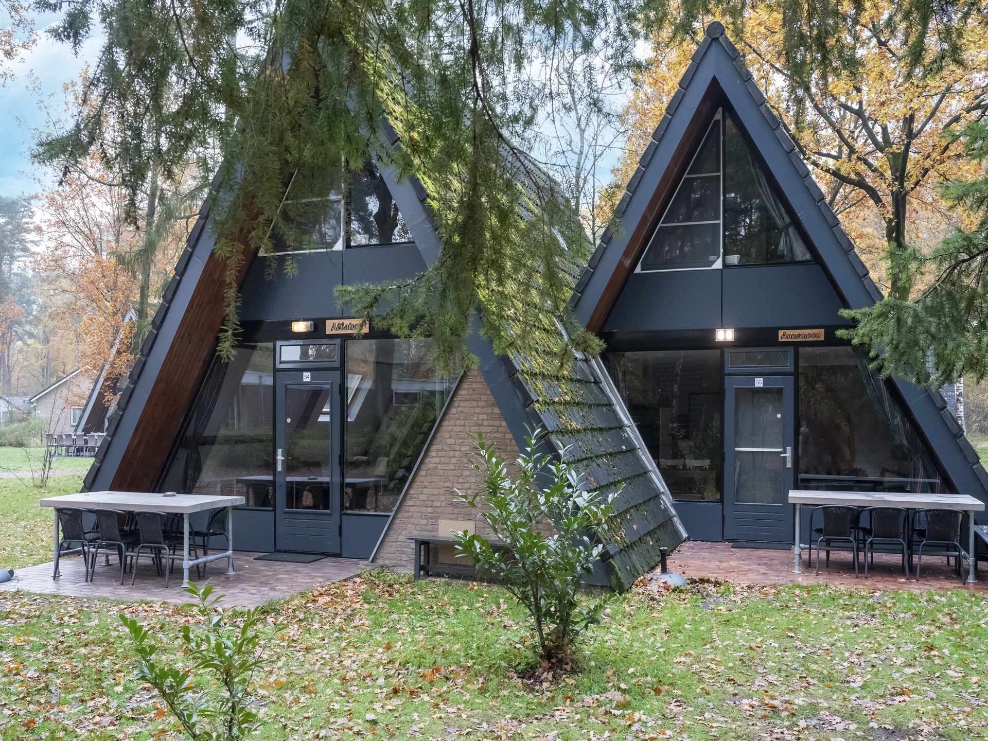Vosseven 55 Annemoon: Modern vakantiehuis in bosrijk Limburg - foto 5