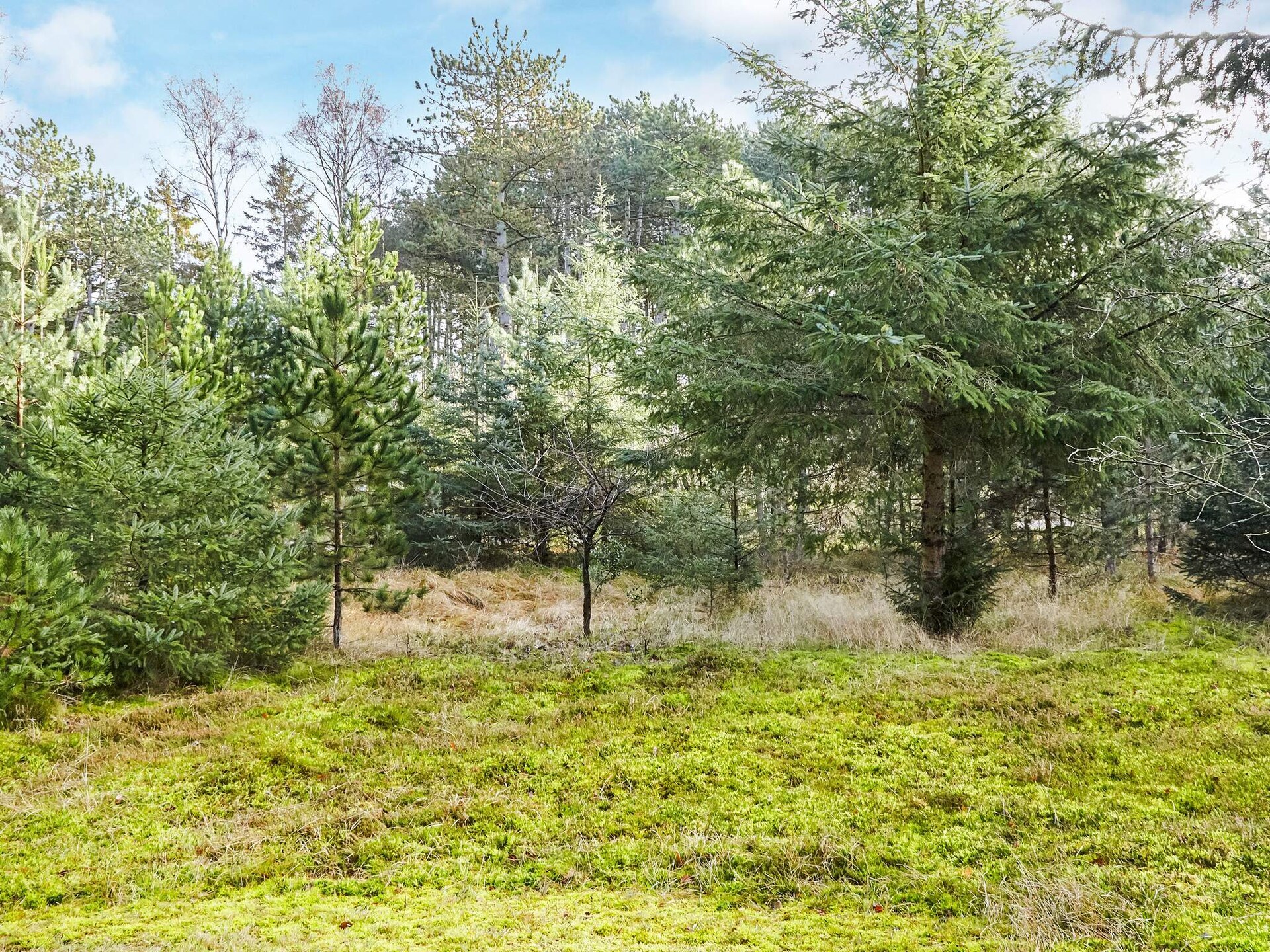 Vrijstaand vakantiehuis bij zandstrand Bjerge Sydstrand in Store Fuglede - foto 5