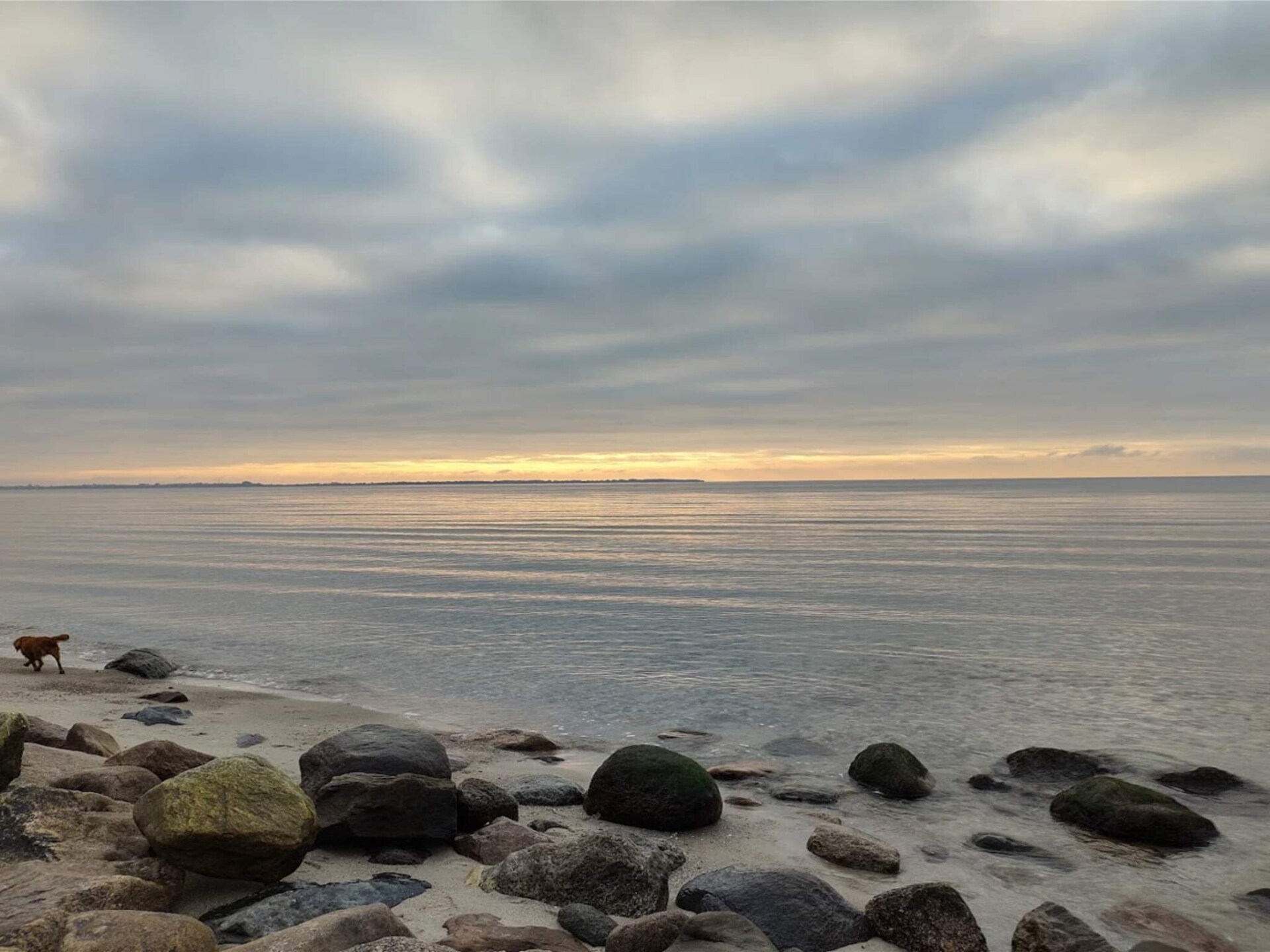 Vrijstaand vakantiehuis bij zandstrand Bjerge Sydstrand in Store Fuglede - foto 24