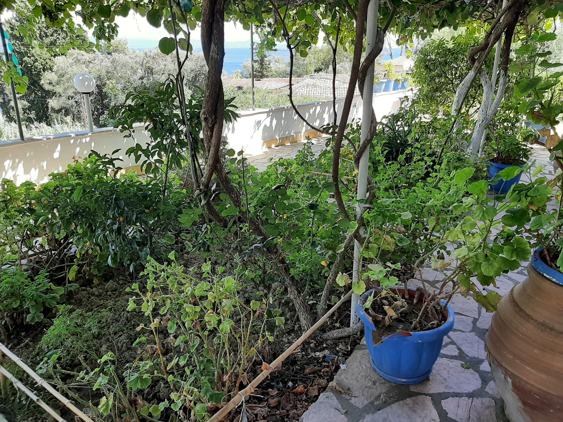 Appartement aan zee in Mpenitses met zwembad, tuin en terras - foto 40