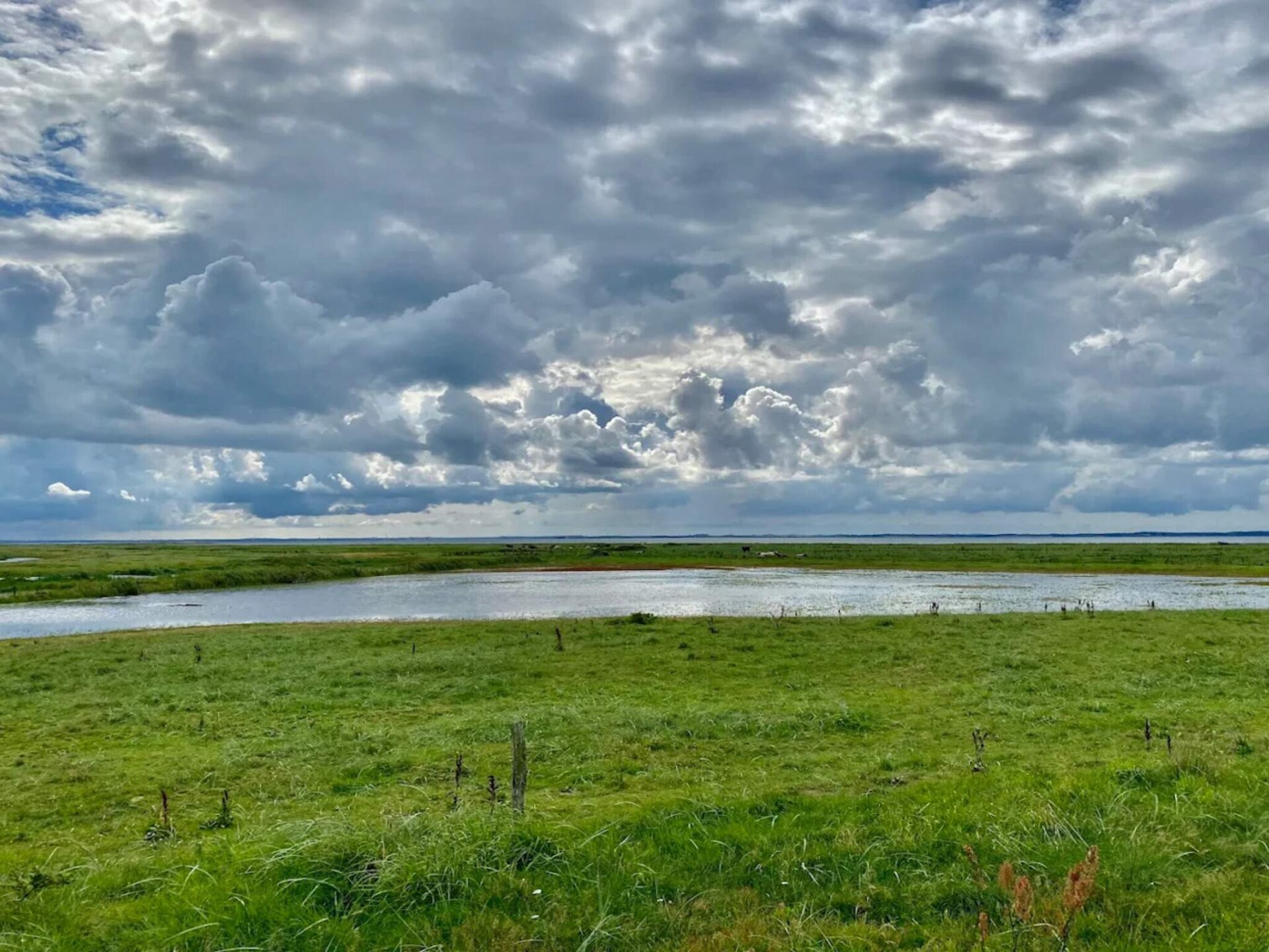 Aan zee: Licht vakantiehuis in Vinderup met buitenwhirlpool - foto 12