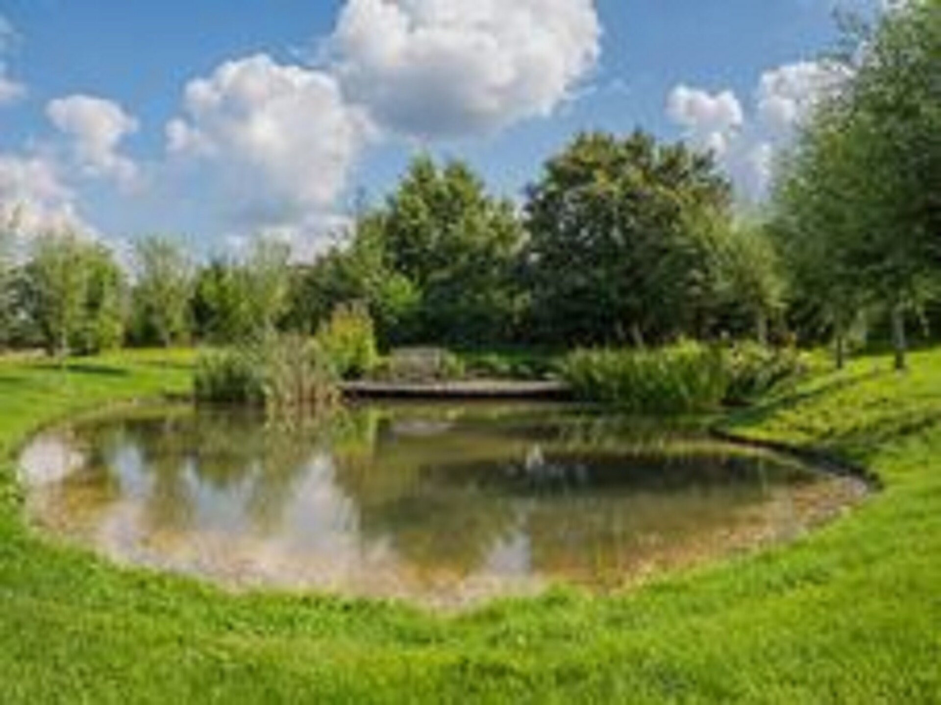 Moderne boerderij Dwingelderveld: rust, wellness en natuur voor 10 personen - foto 28
