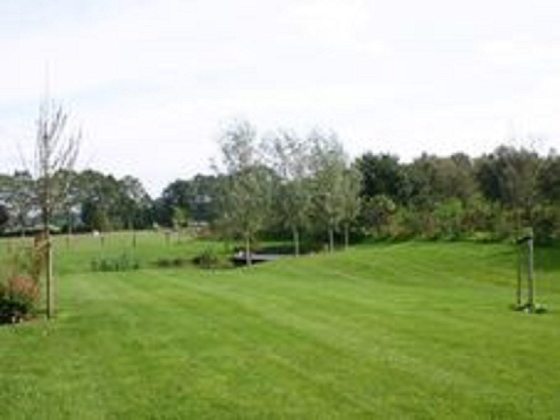 Moderne boerderij Dwingelderveld: rust, wellness en natuur voor 10 personen - foto 29