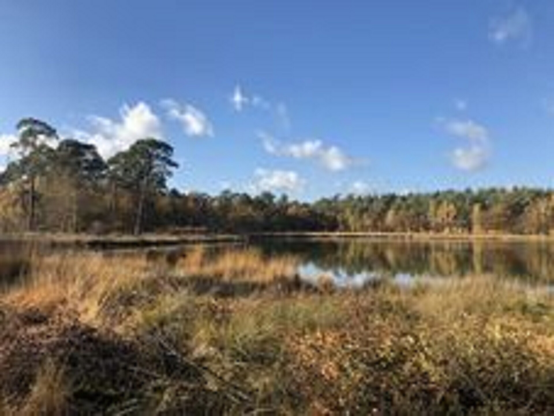 Moderne boerderij Dwingelderveld: rust, wellness en natuur voor 10 personen - foto 31