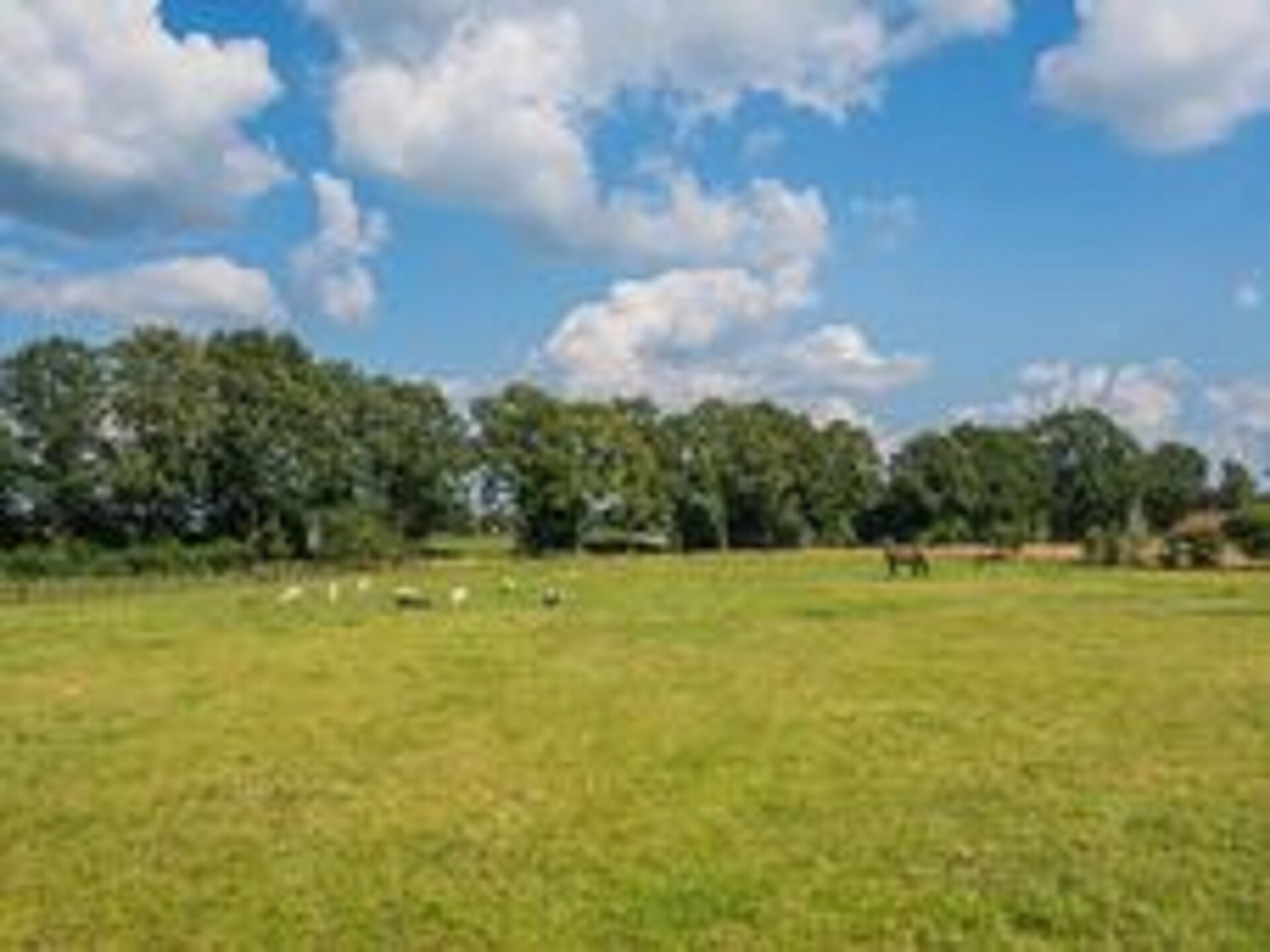 Moderne boerderij Dwingelderveld: rust, wellness en natuur voor 10 personen - foto 32