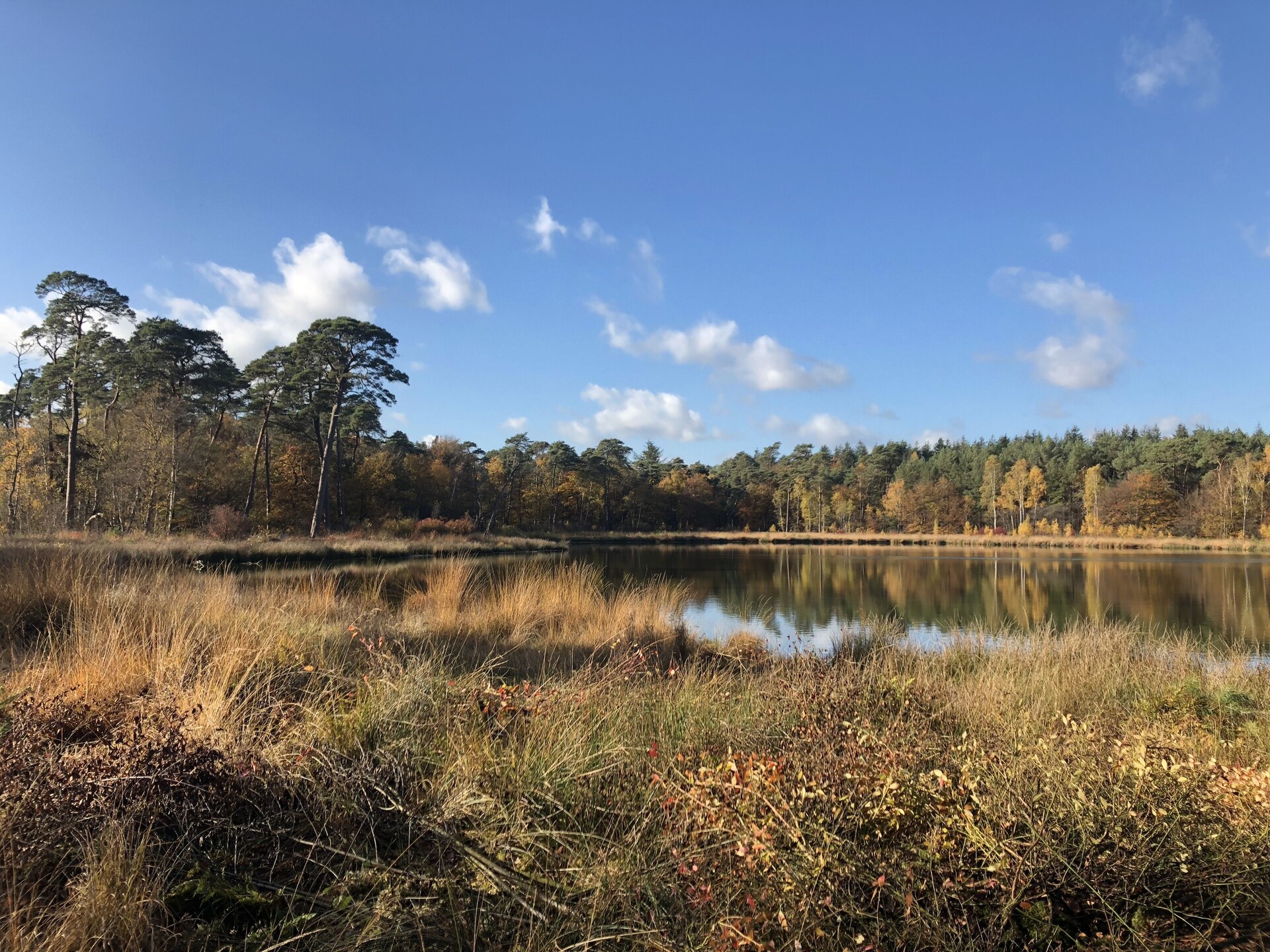 Moderne boerderij Dwingelderveld: rust, wellness en natuur voor 10 personen - foto 33