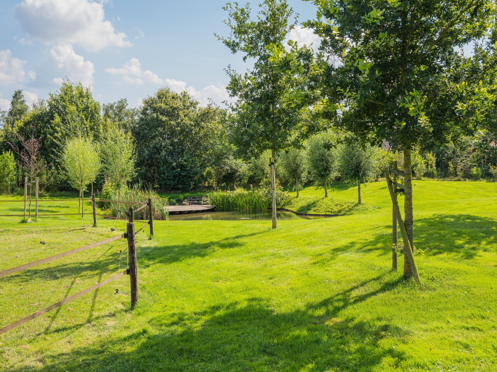 Moderne boerderij Dwingelderveld: rust, wellness en natuur voor 10 personen - foto 22