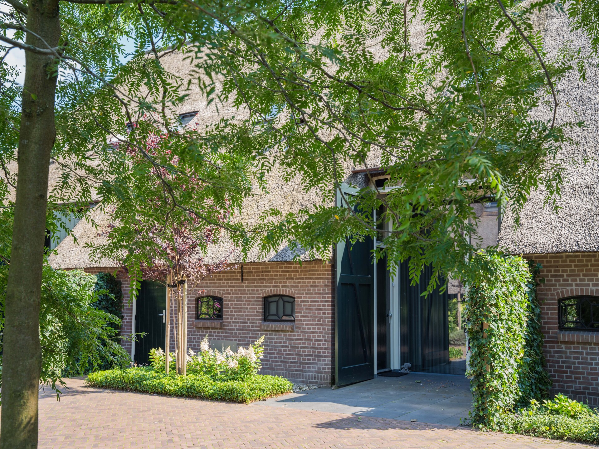 Moderne boerderij Dwingelderveld: rust, wellness en natuur voor 10 personen - foto 7