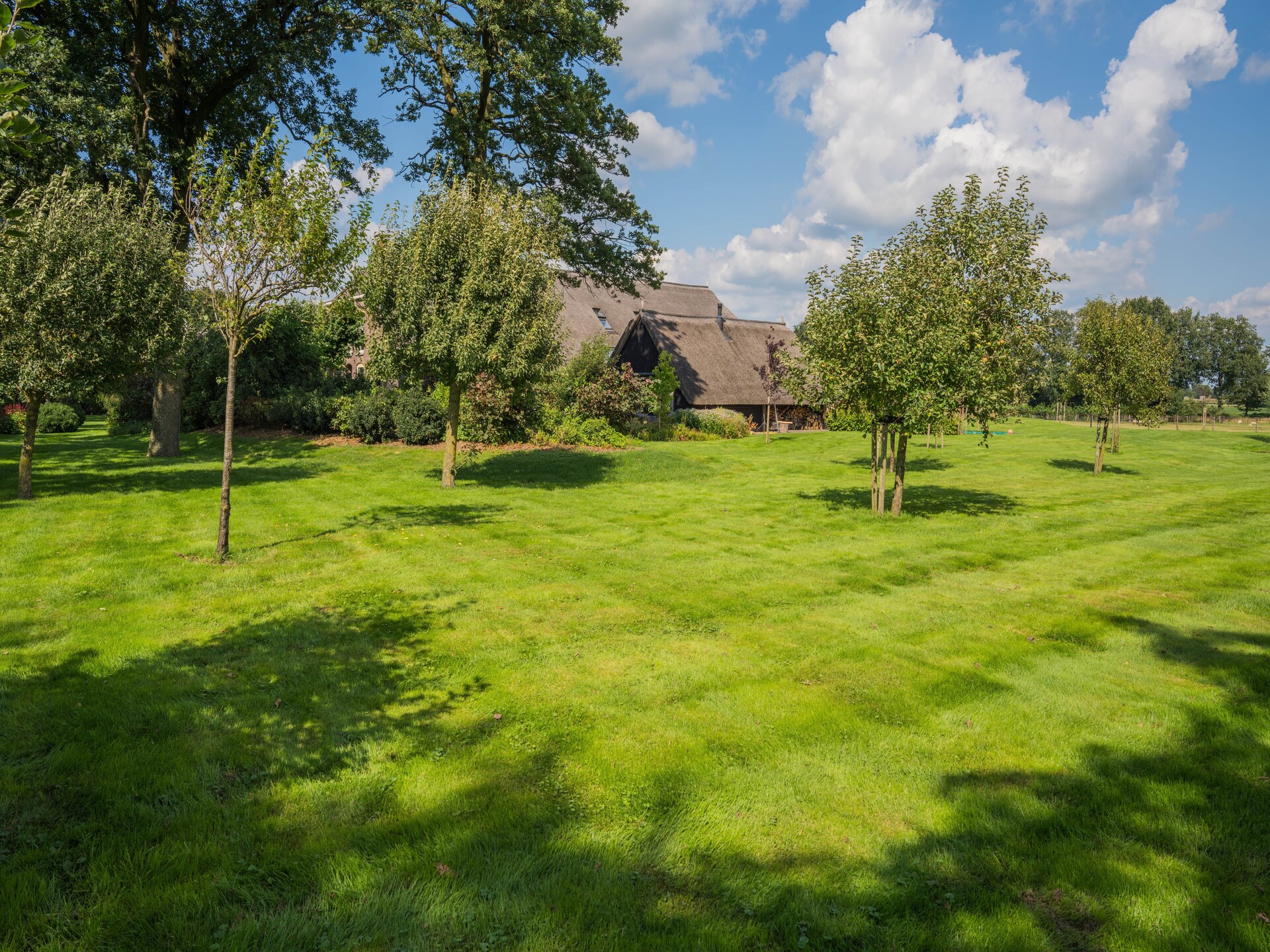 Moderne boerderij Dwingelderveld: rust, wellness en natuur voor 10 personen - foto 23