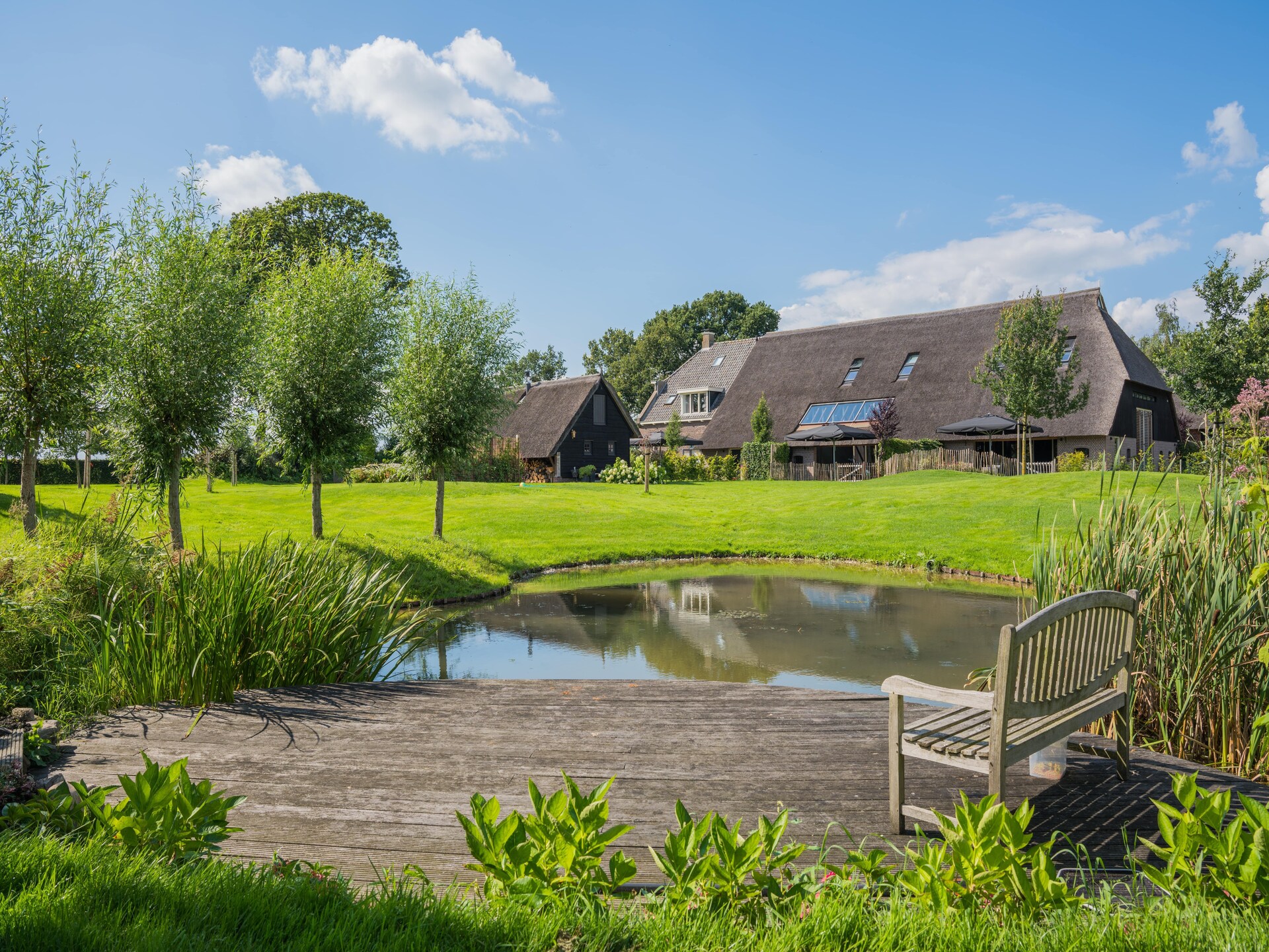 Moderne boerderij Dwingelderveld: rust, wellness en natuur voor 10 personen - foto 24