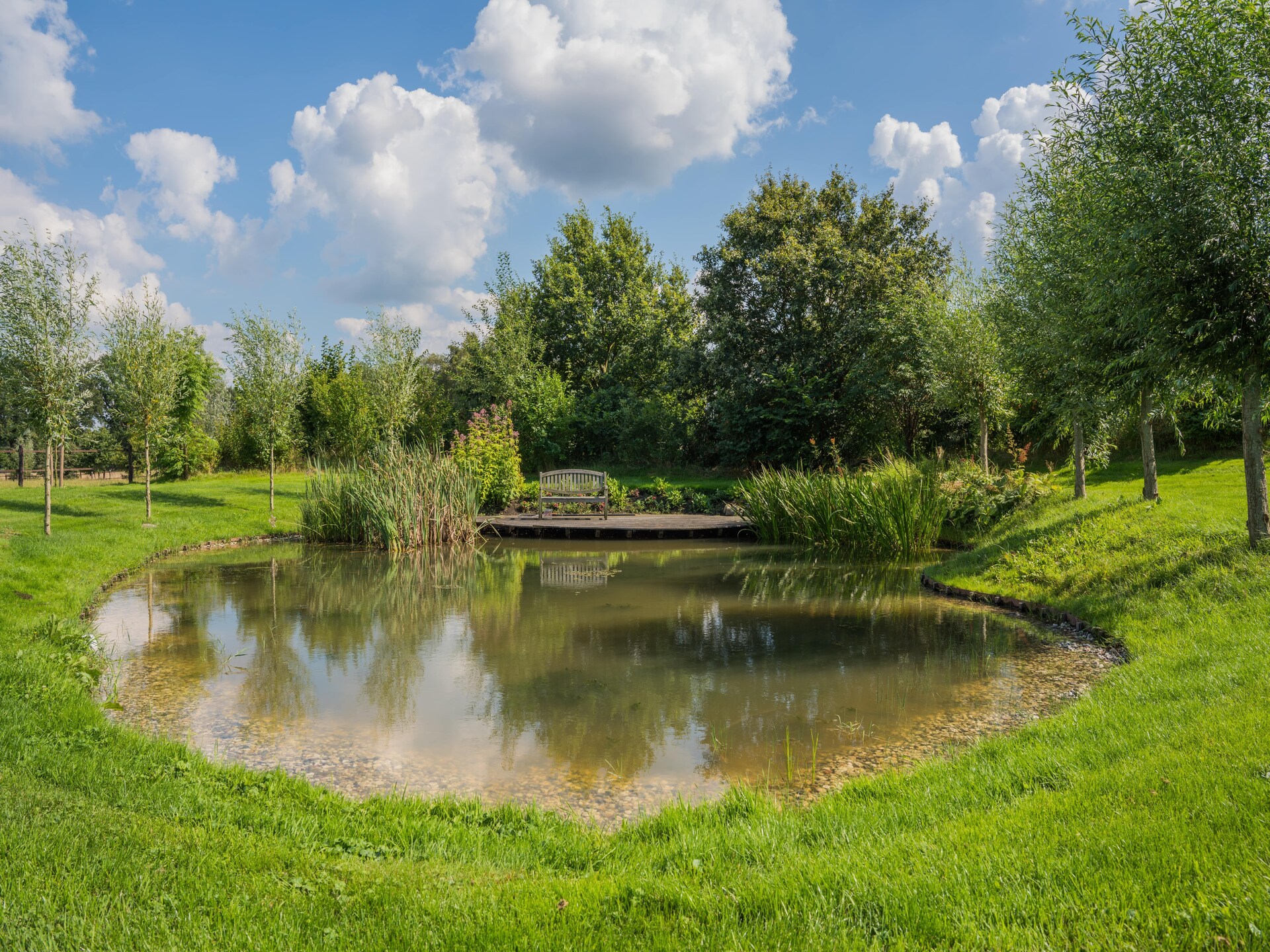Moderne boerderij Dwingelderveld: rust, wellness en natuur voor 10 personen - foto 26