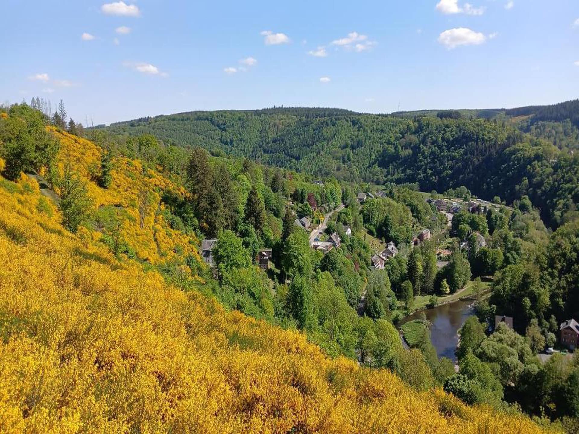 6-persoons architectenwoning met tuin in La Roche en Ardennes - foto 35