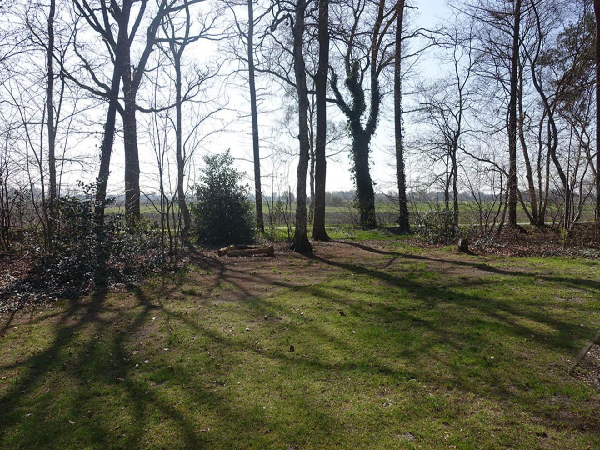 Buitenplaats Berg en Bos 4: Vrijstaand vakantiehuis voor 10 personen in bosrijk Lemele - foto 23