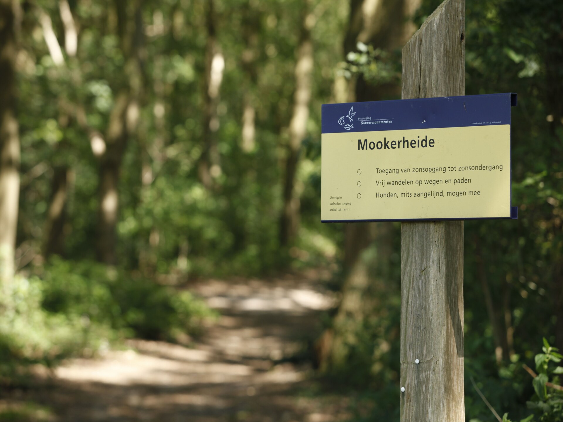 Romantische bosbungalow in Mook – huisdiervriendelijk en aan de golf - foto 22